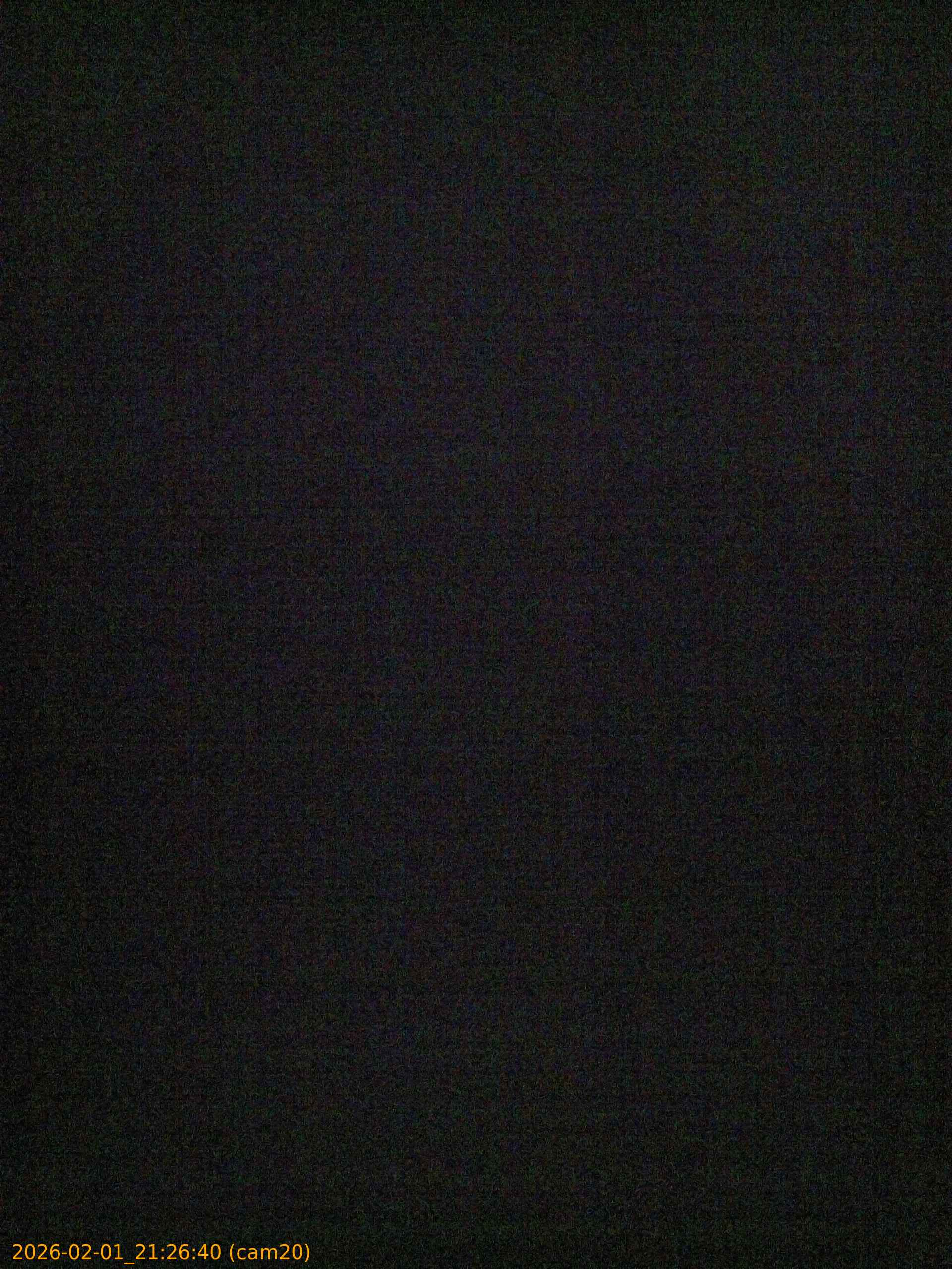 thumbnail_20260201212640