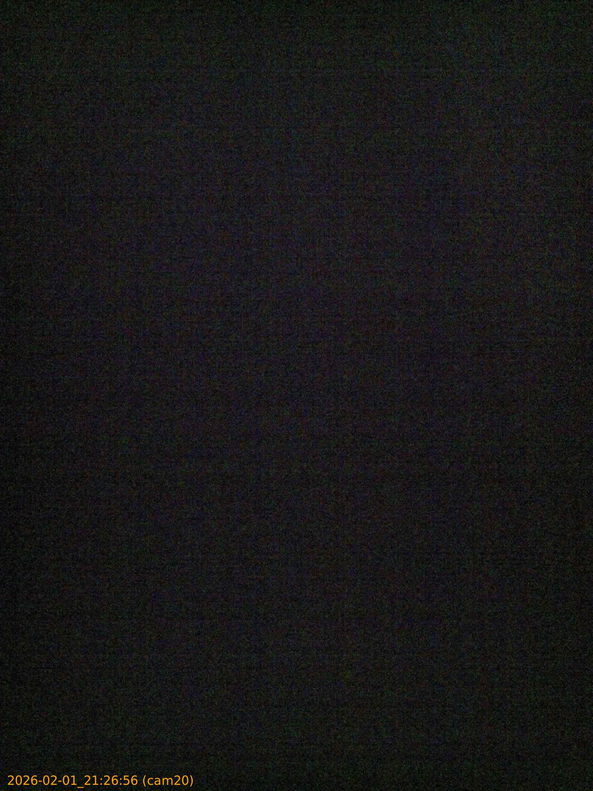 thumbnail_20260201212656