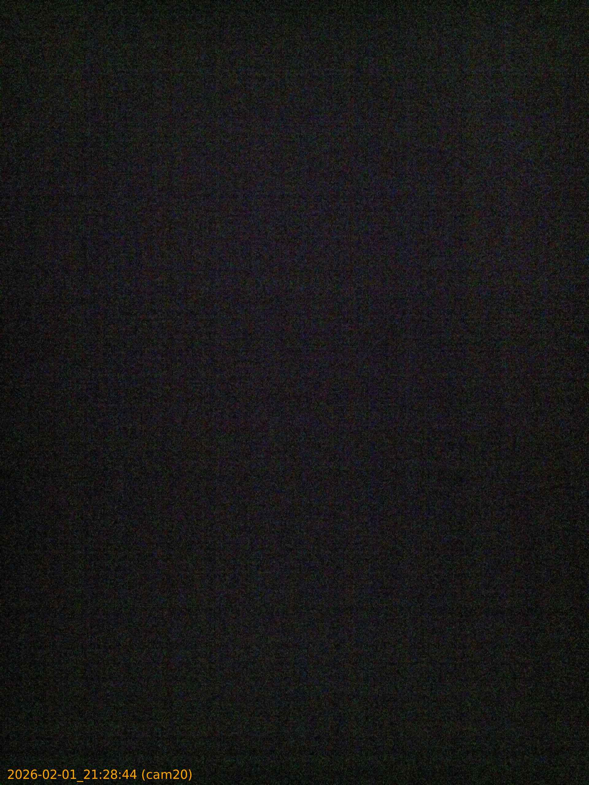 thumbnail_20260201212844