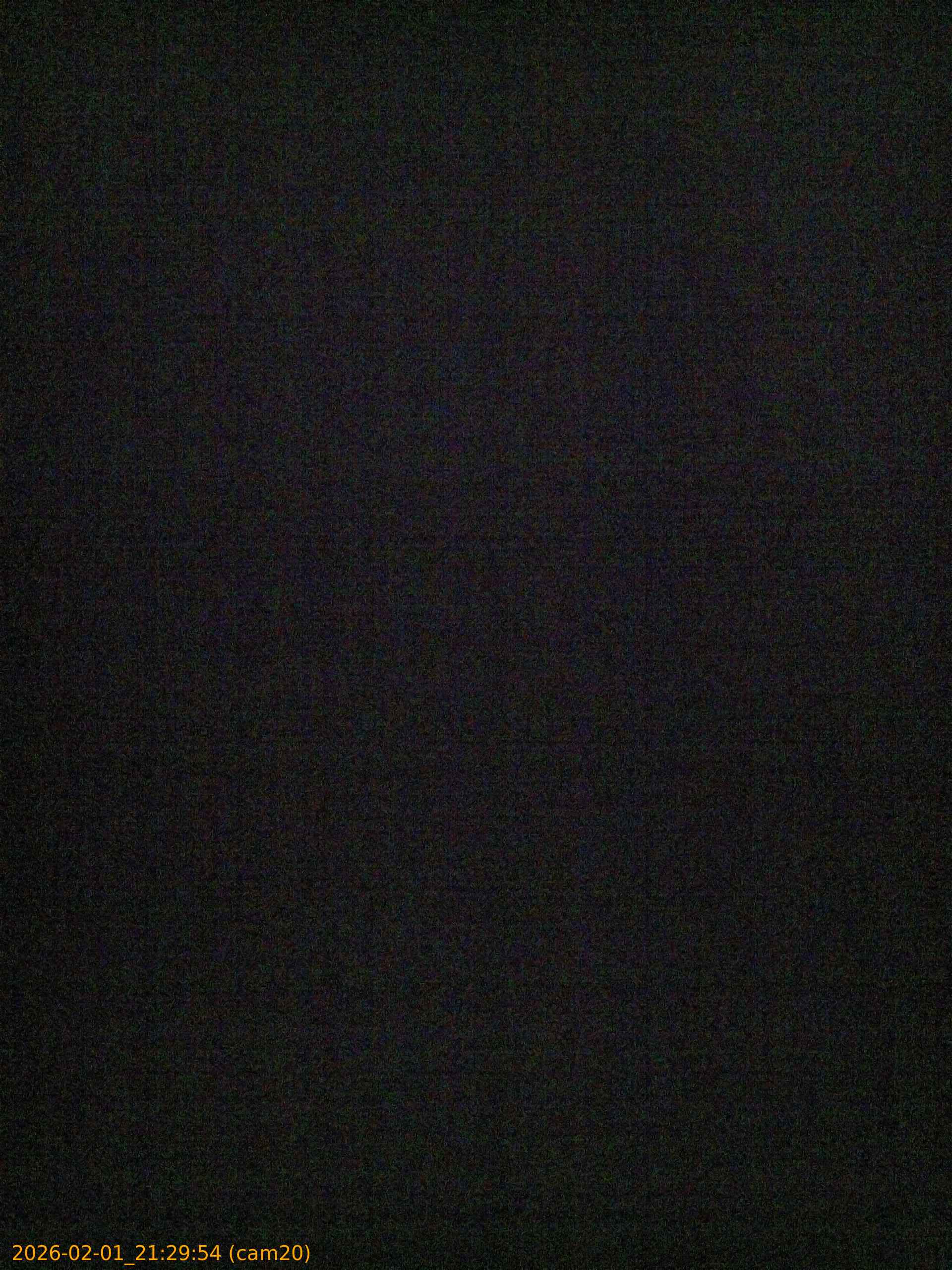 20260201212954