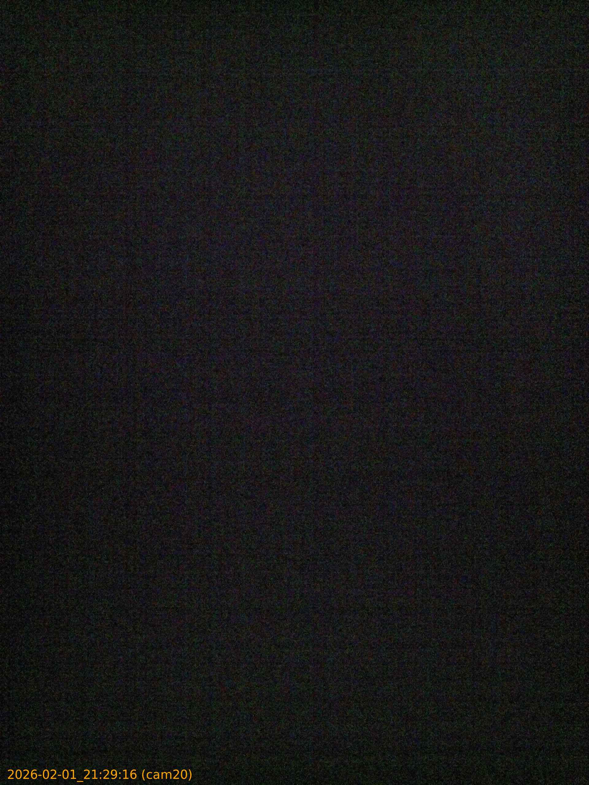 thumbnail_20260201212916