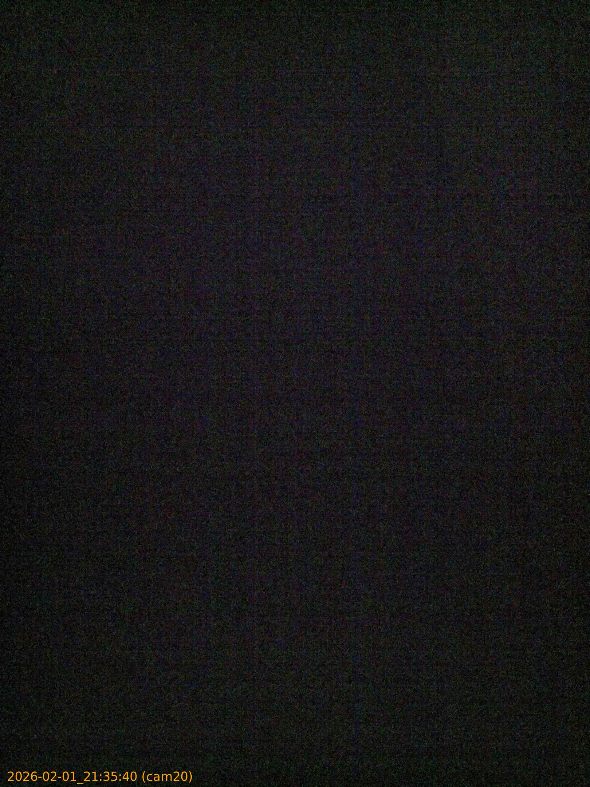 thumbnail_20260201213540