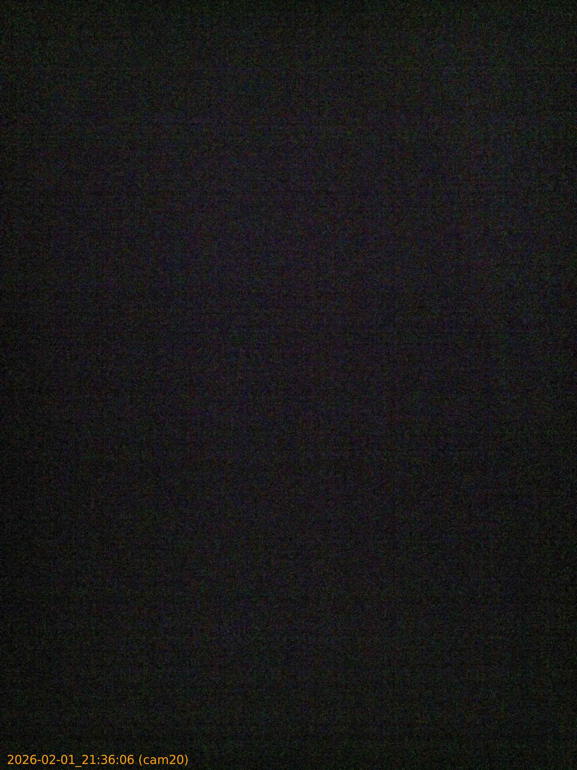 thumbnail_20260201213606