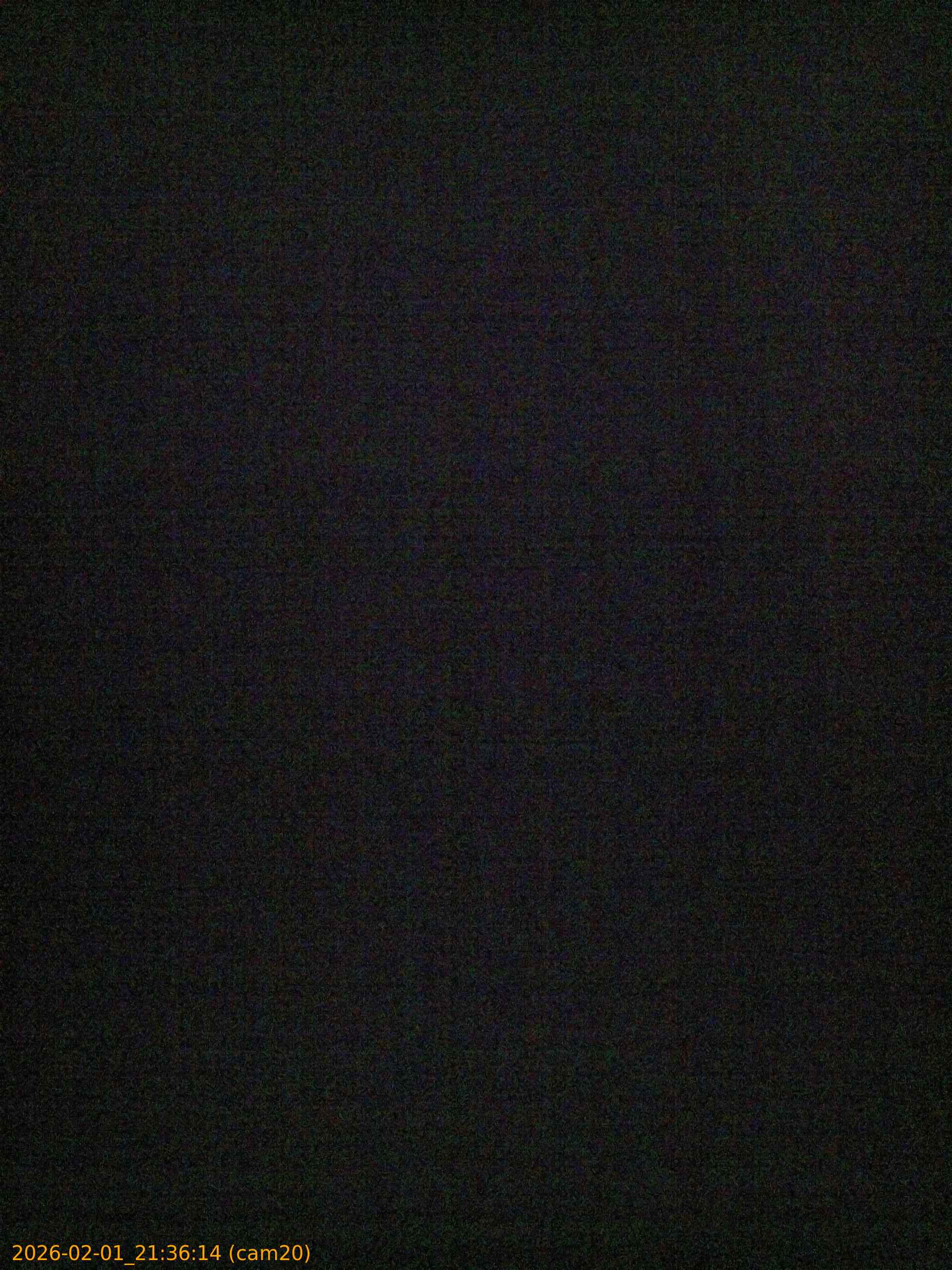 thumbnail_20260201213614