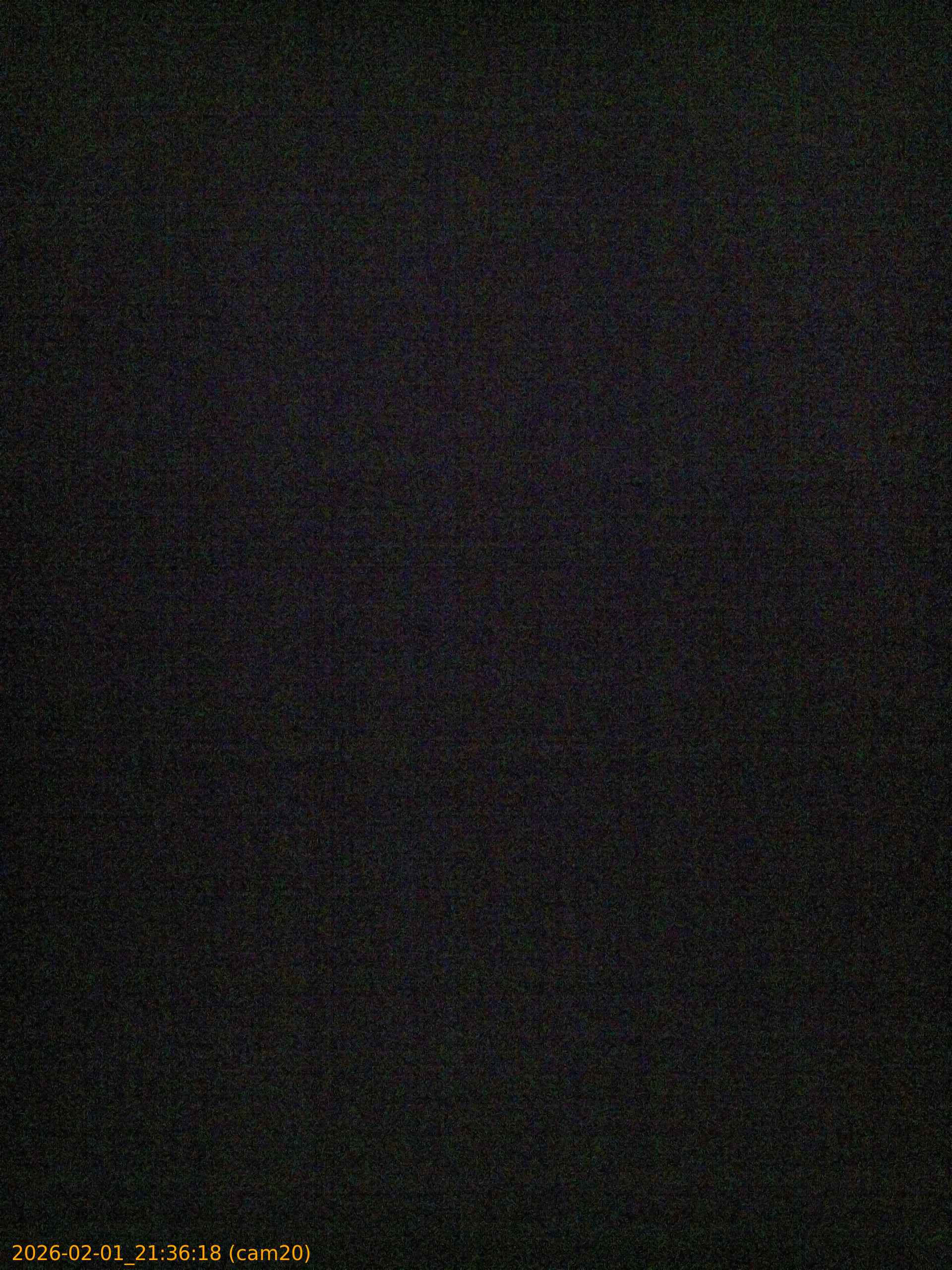 thumbnail_20260201213618