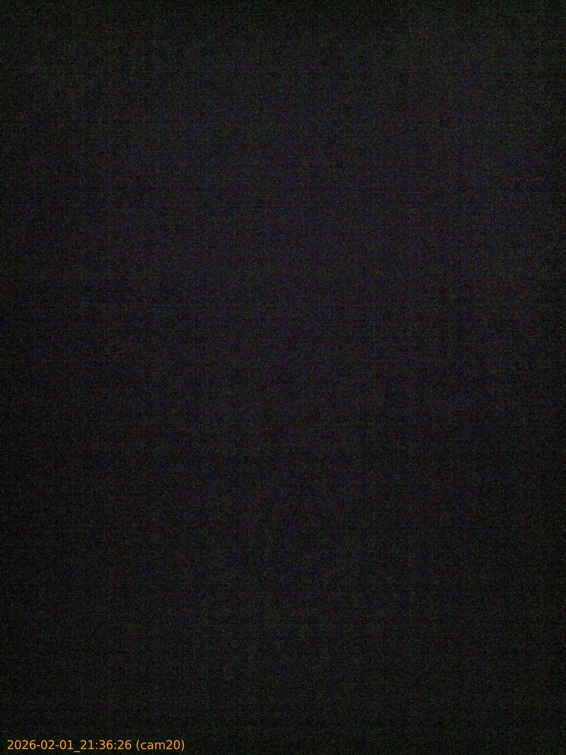 thumbnail_20260201213626