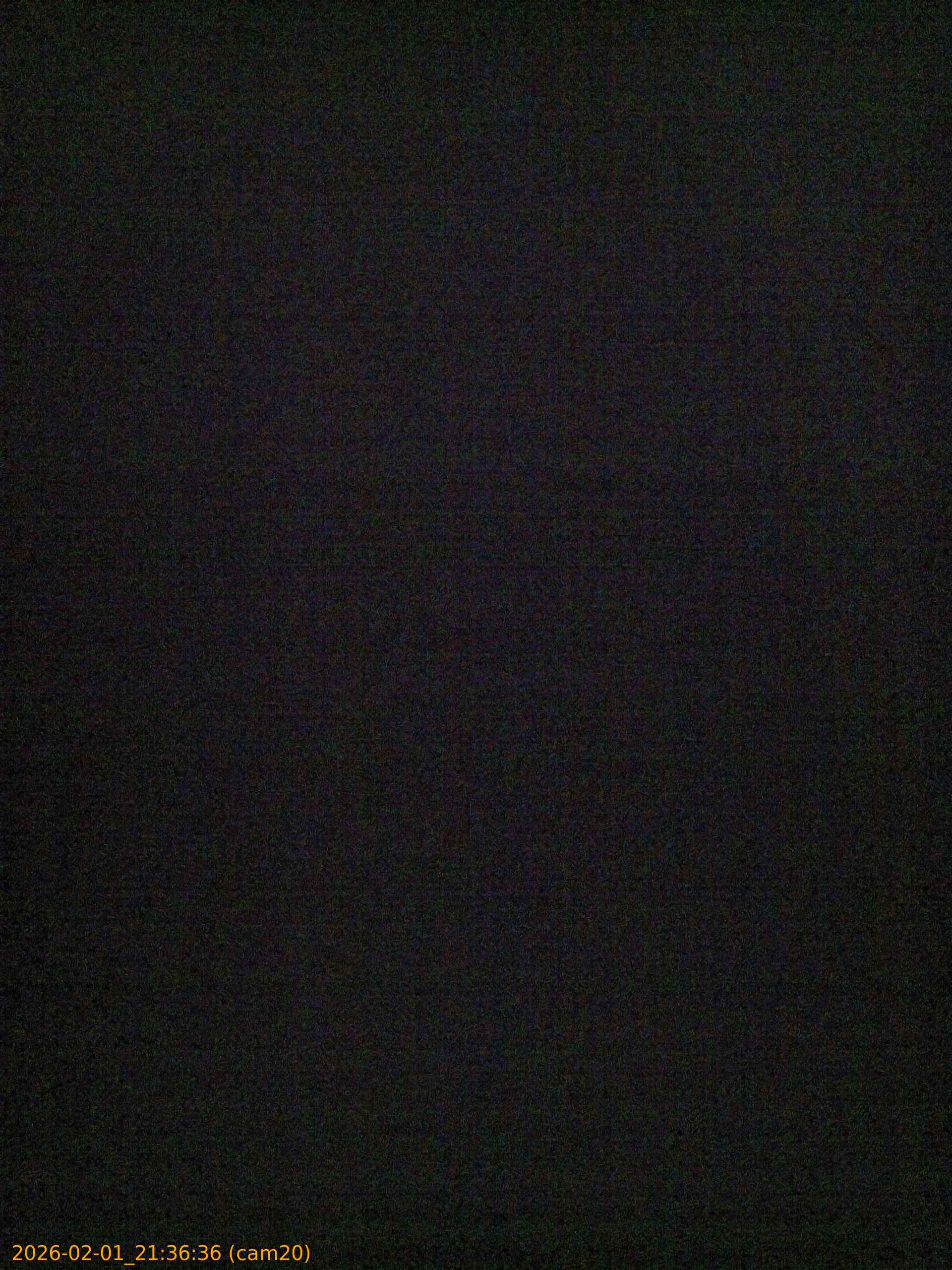 thumbnail_20260201213636