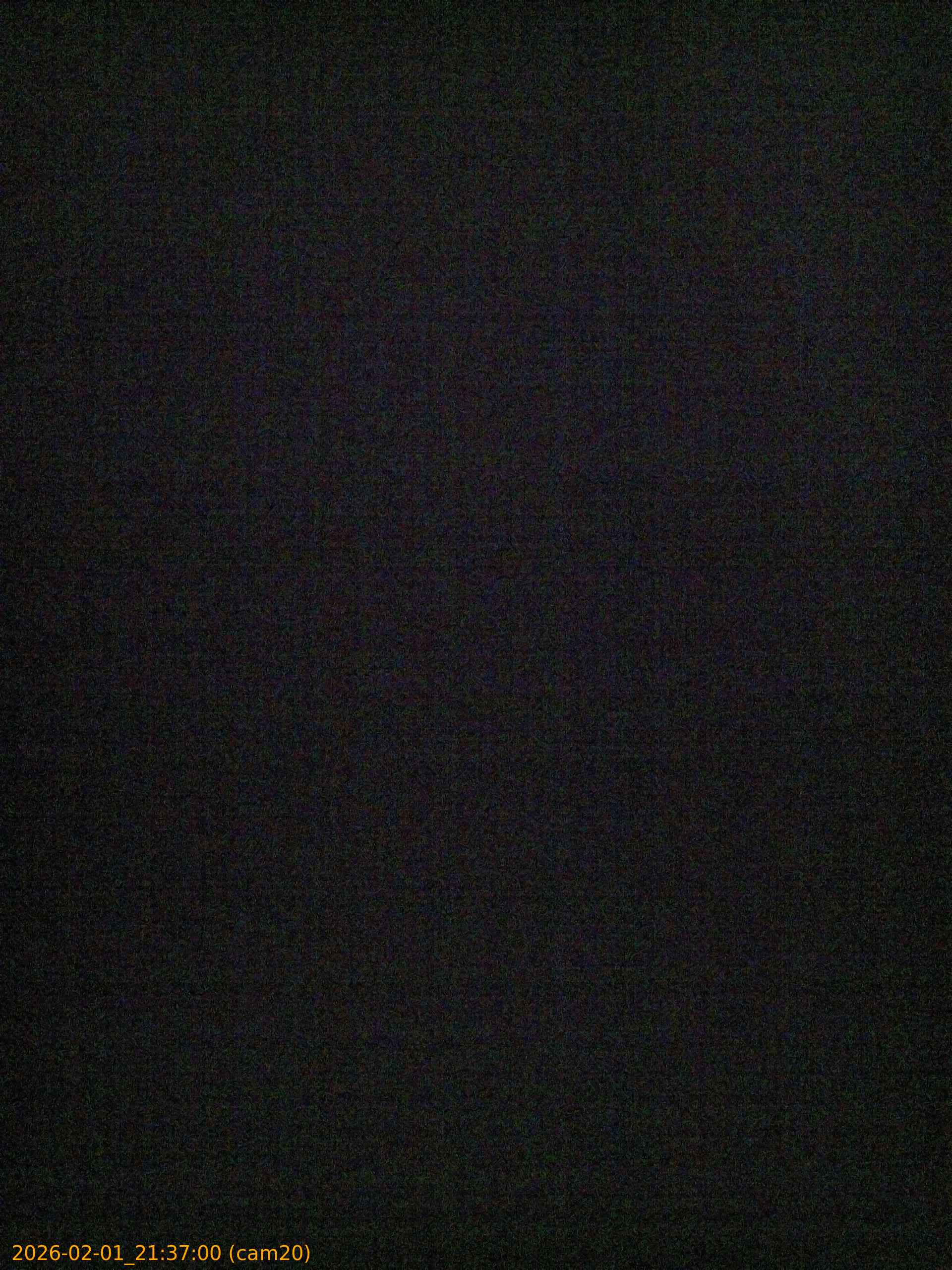 thumbnail_20260201213700