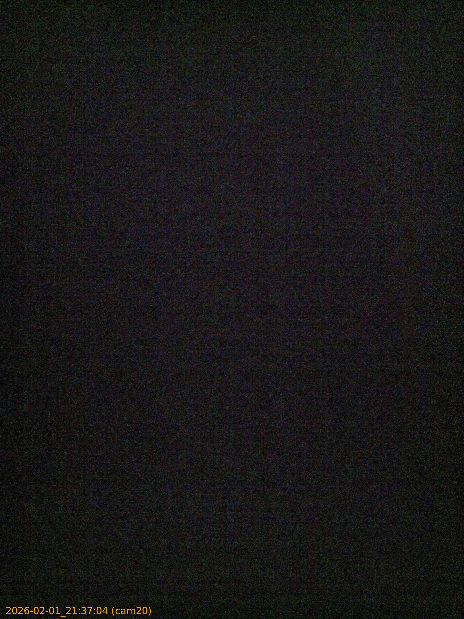 thumbnail_20260201213704