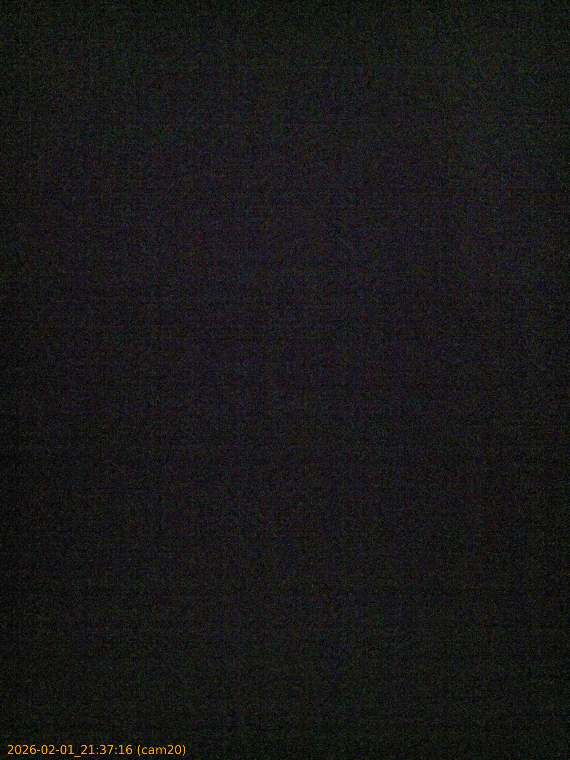 thumbnail_20260201213716