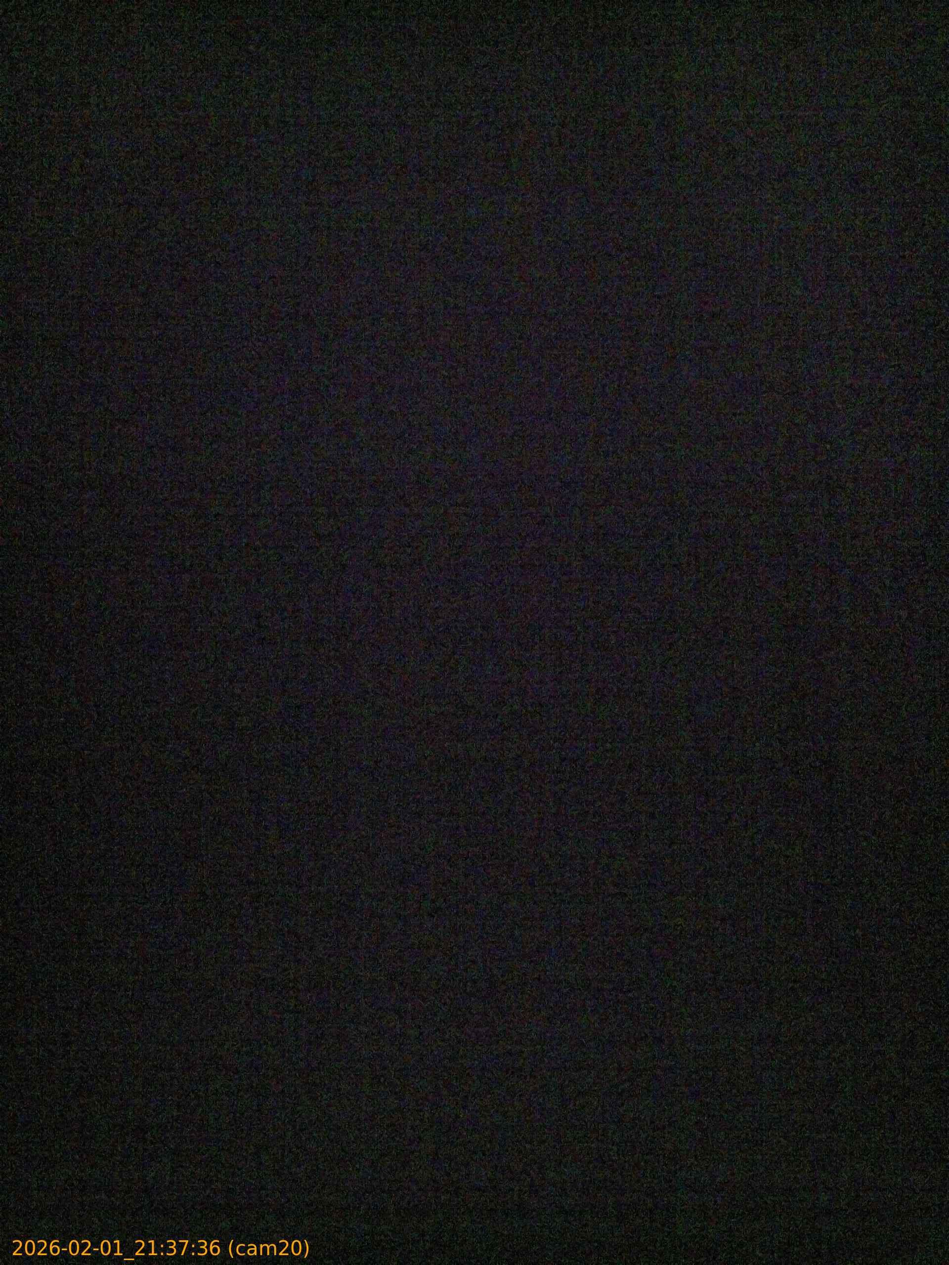 thumbnail_20260201213736