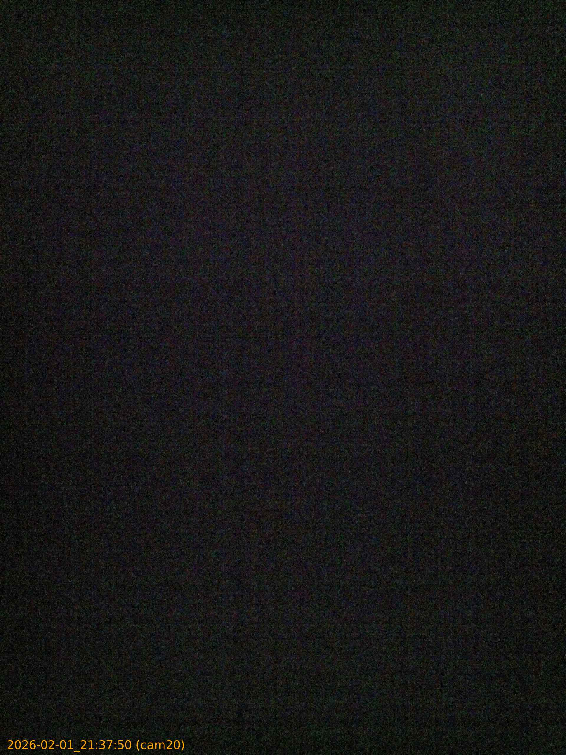 thumbnail_20260201213750