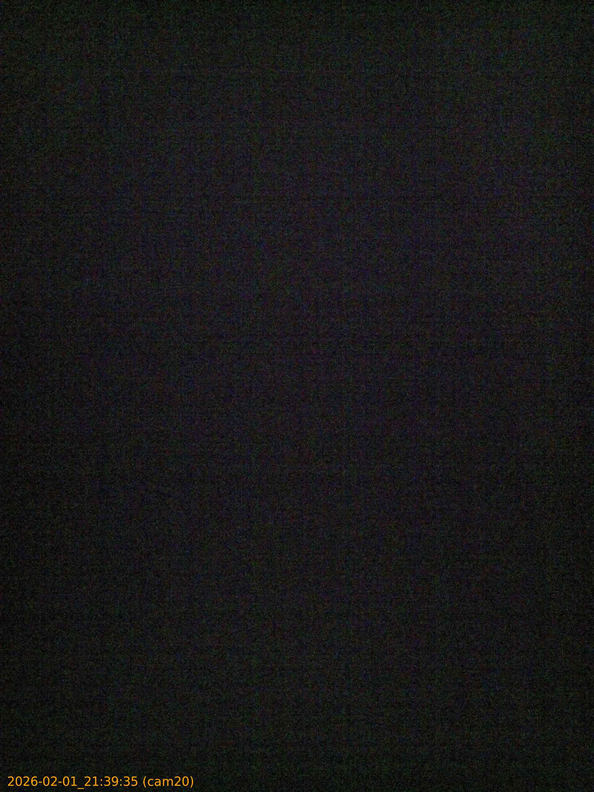 thumbnail_20260201213935