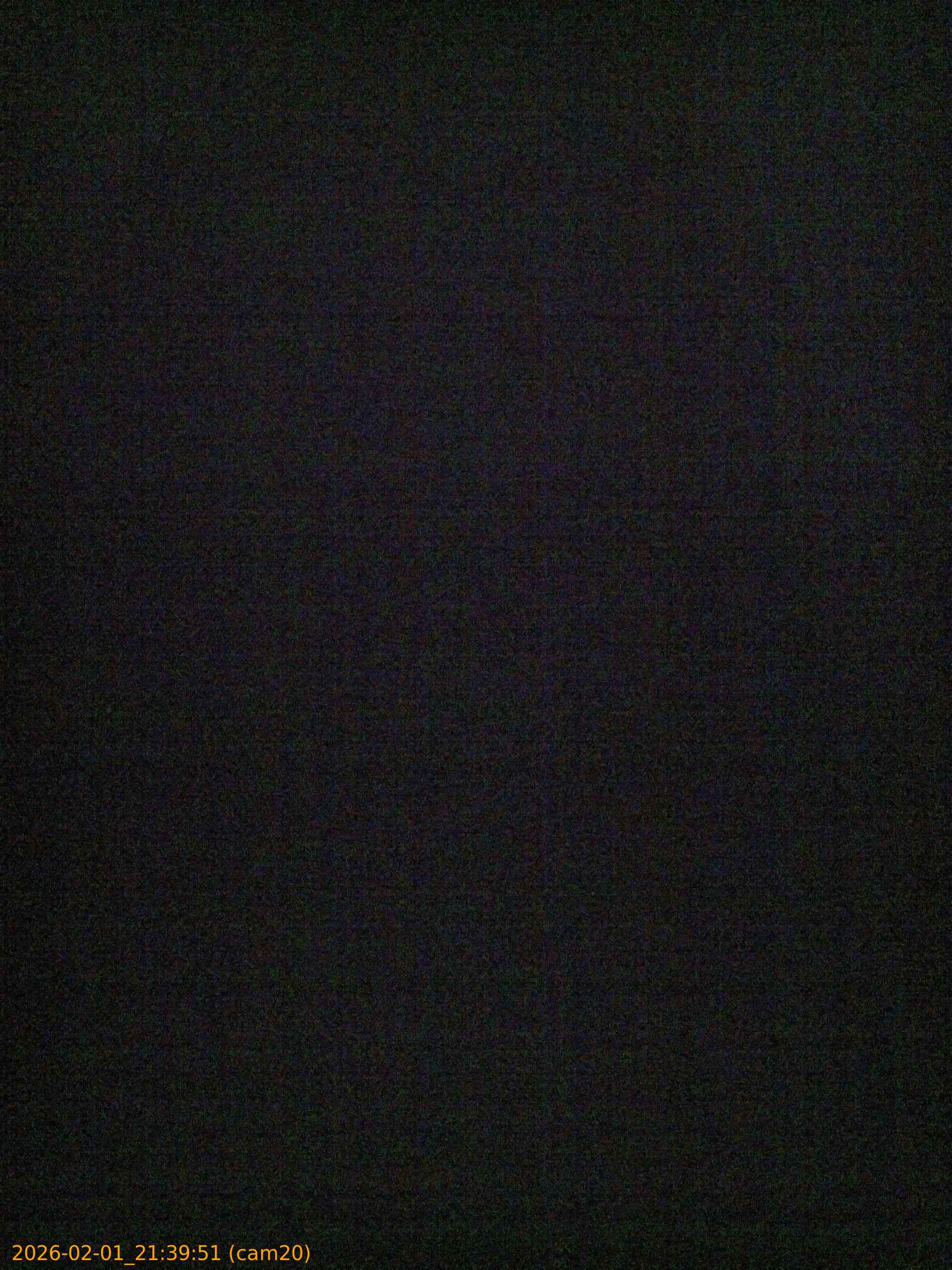 thumbnail_20260201213951