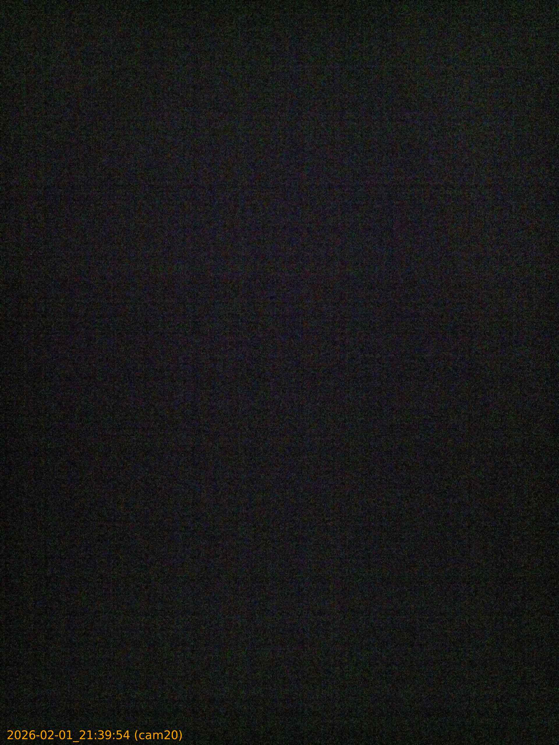 thumbnail_20260201213954