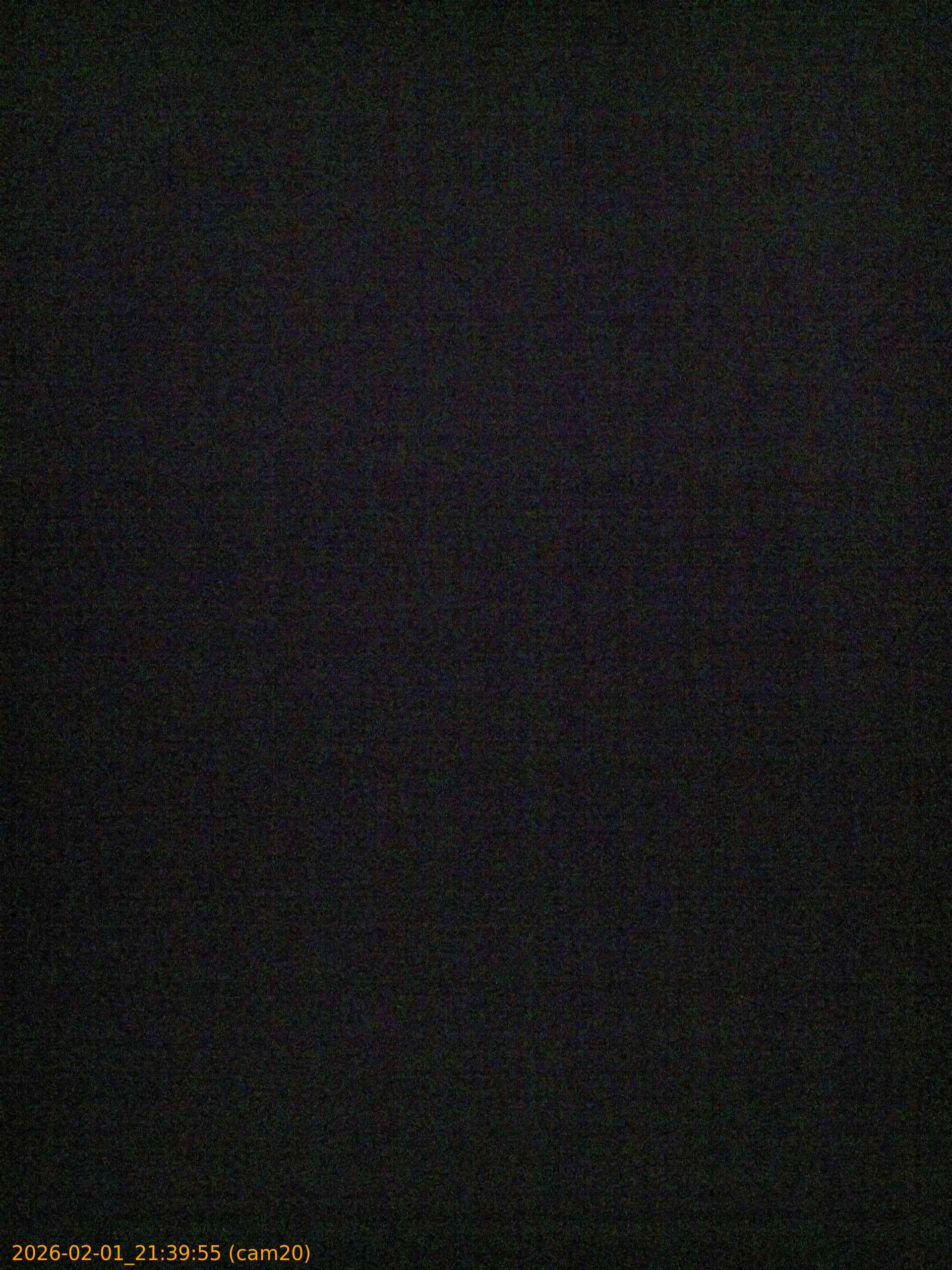 thumbnail_20260201213955