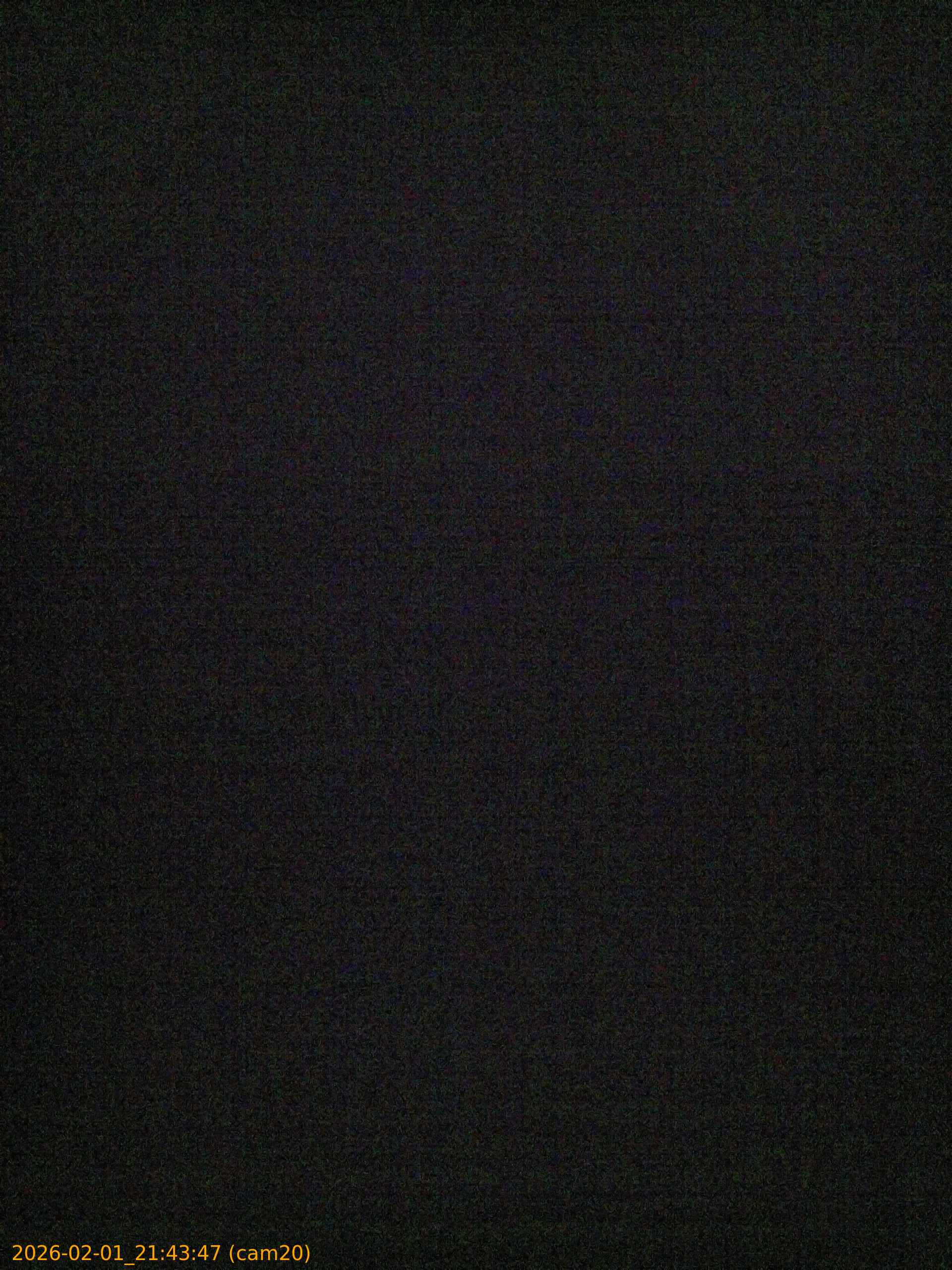 thumbnail_20260201214347