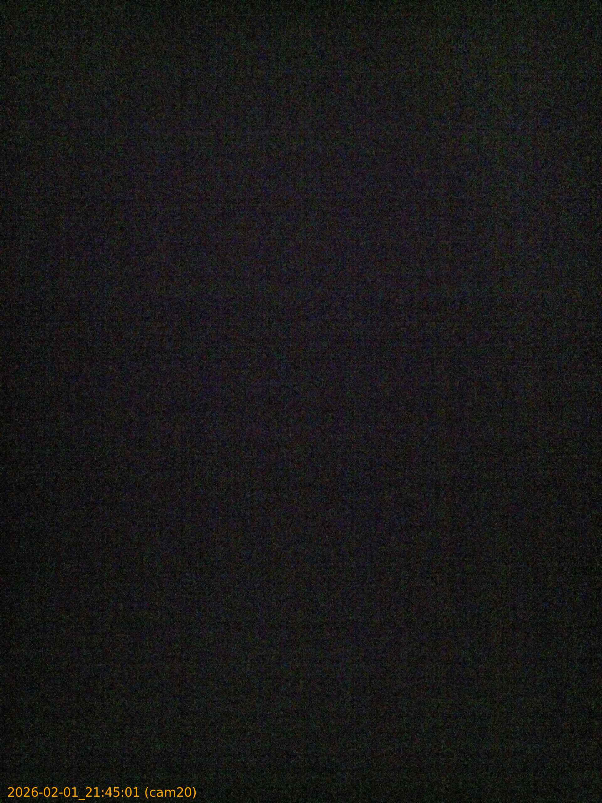 thumbnail_20260201214501