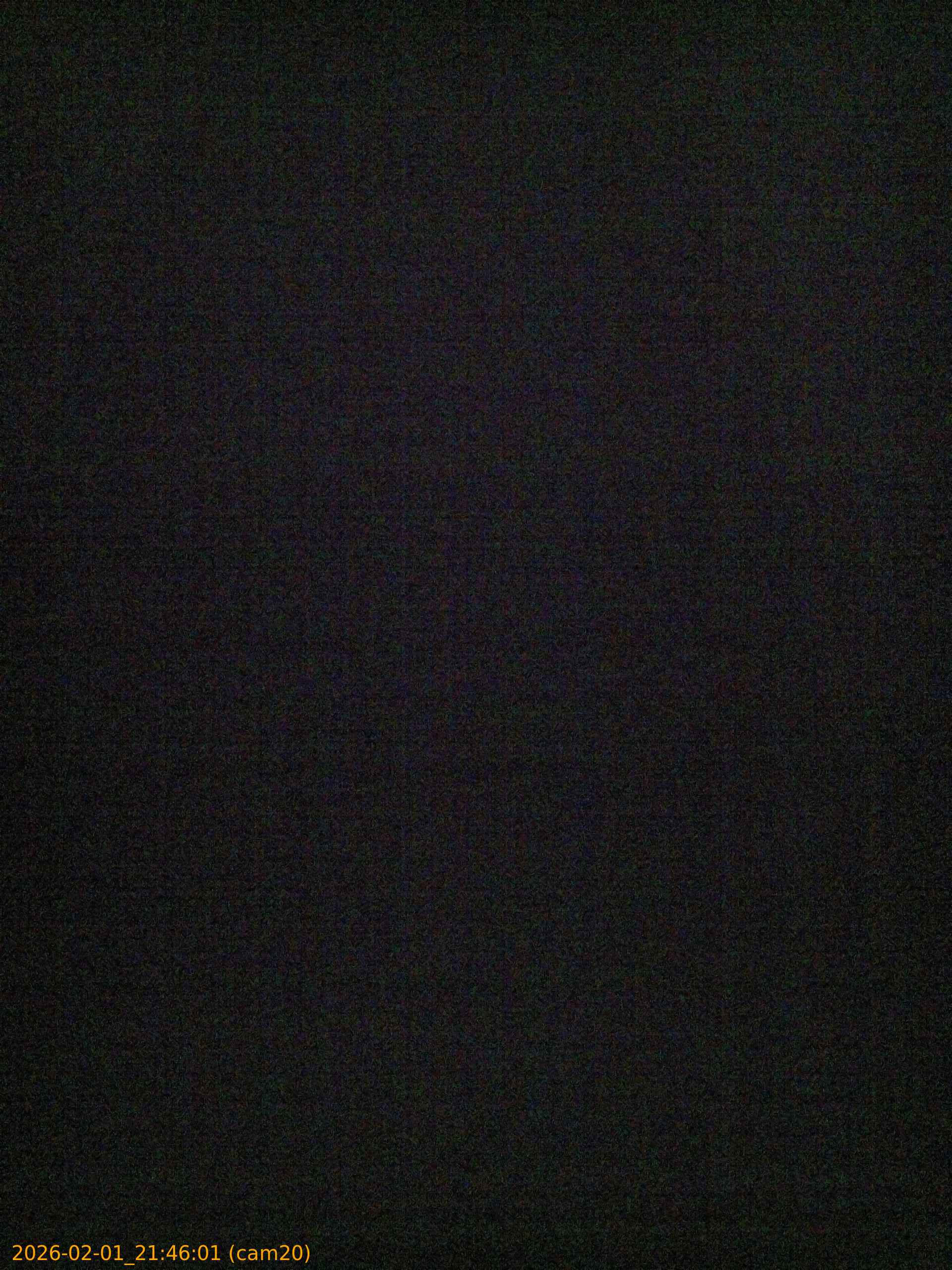 20260201214601