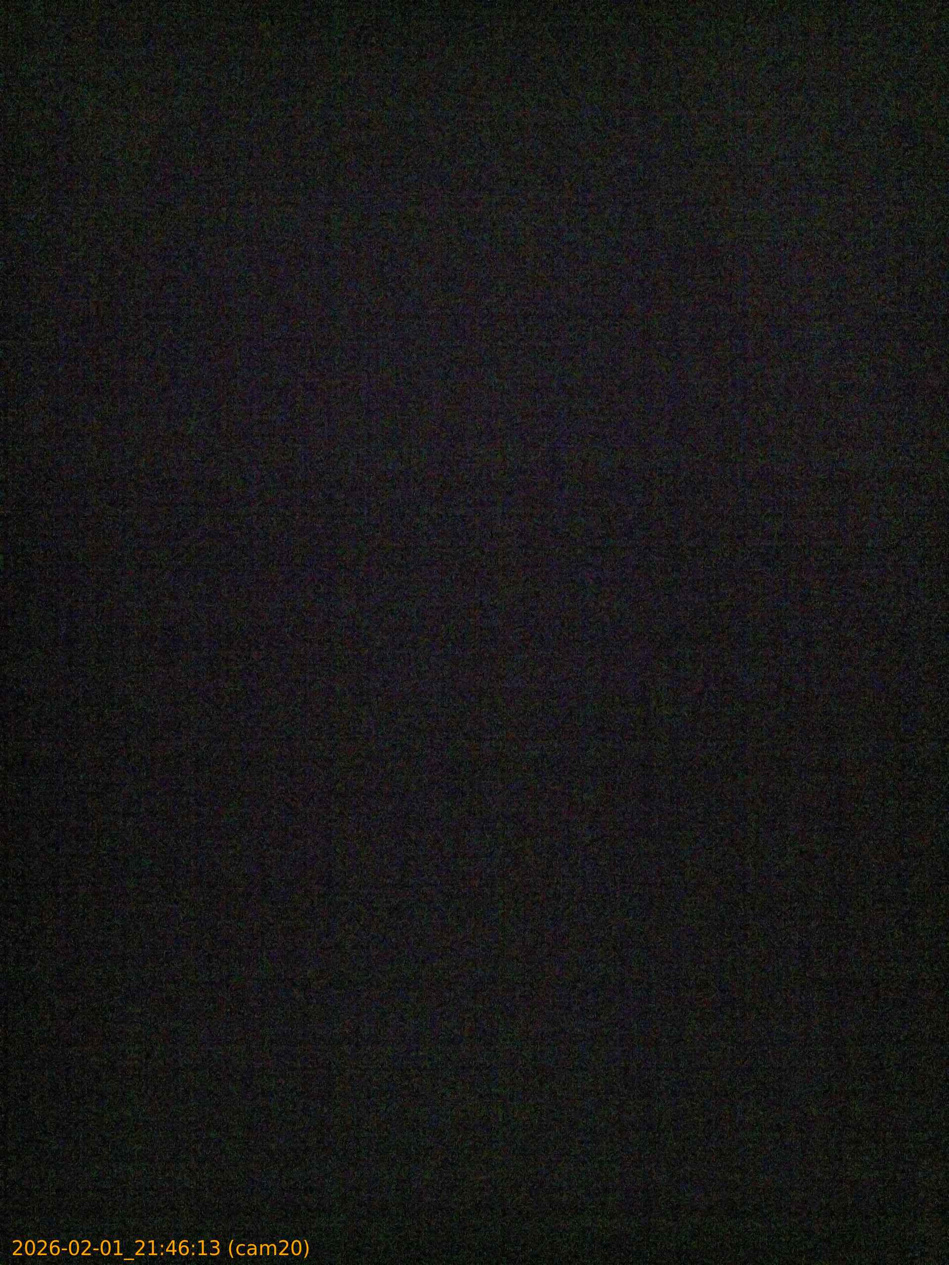 20260201214613