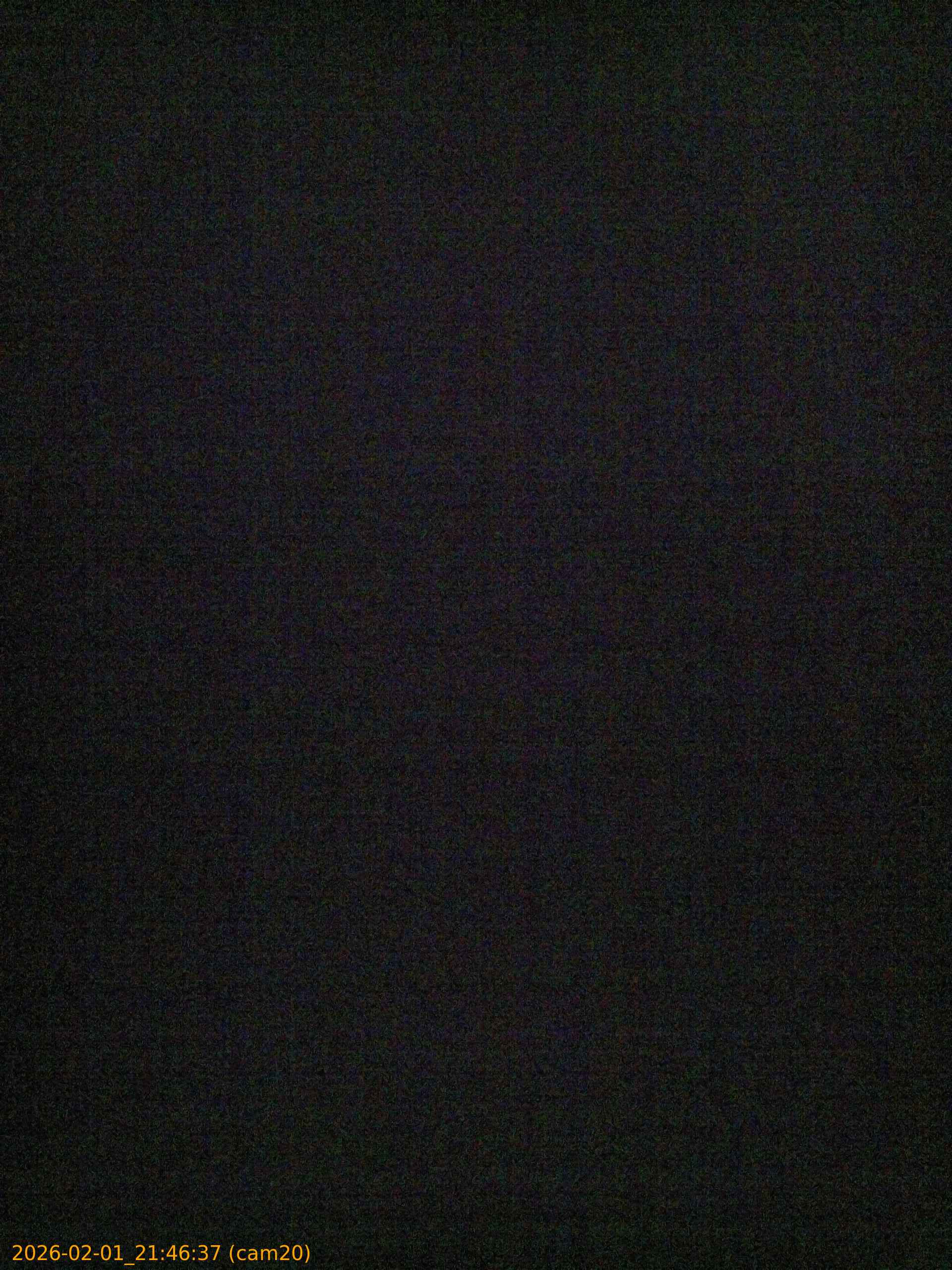 thumbnail_20260201214637