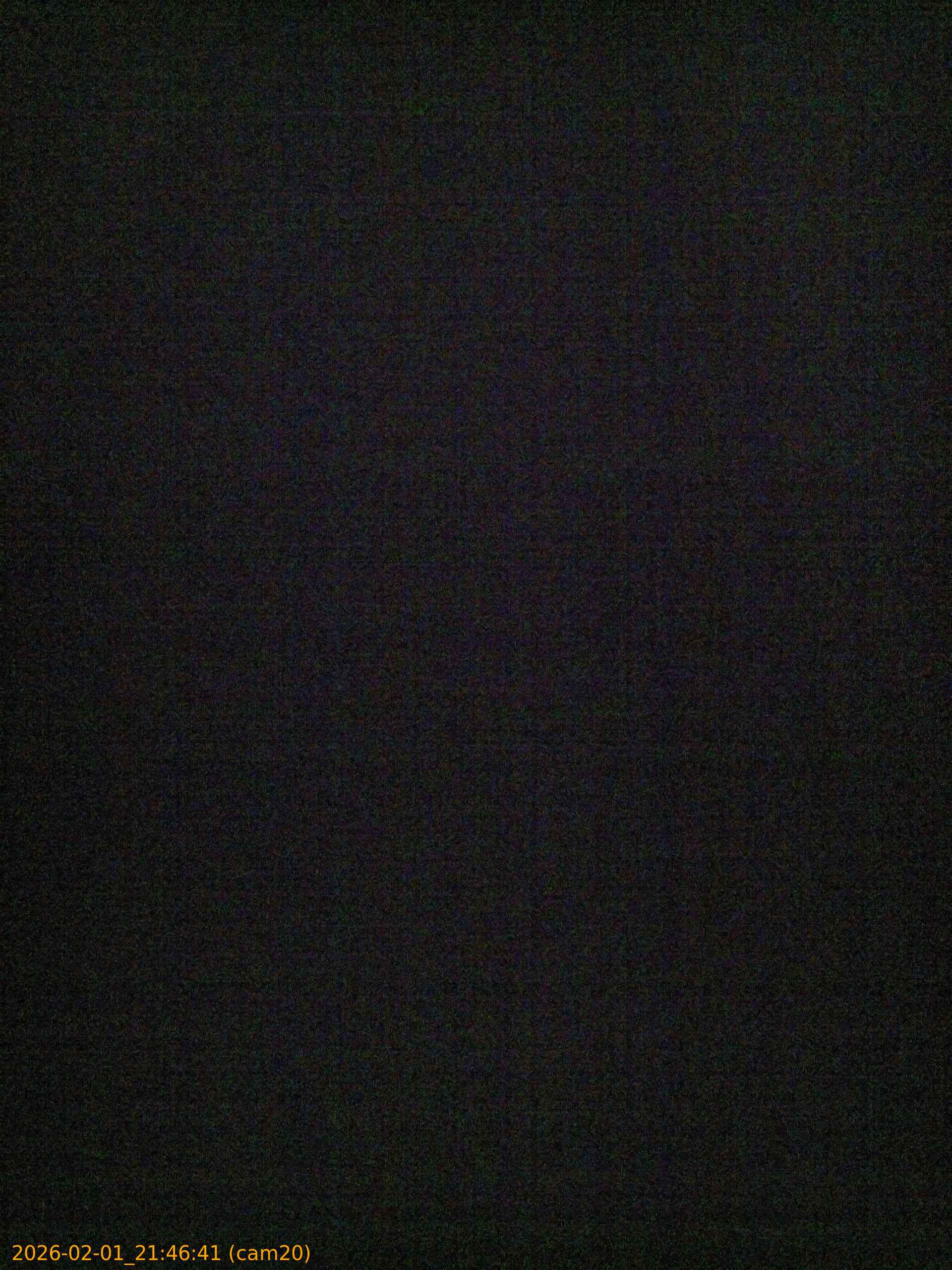 thumbnail_20260201214641