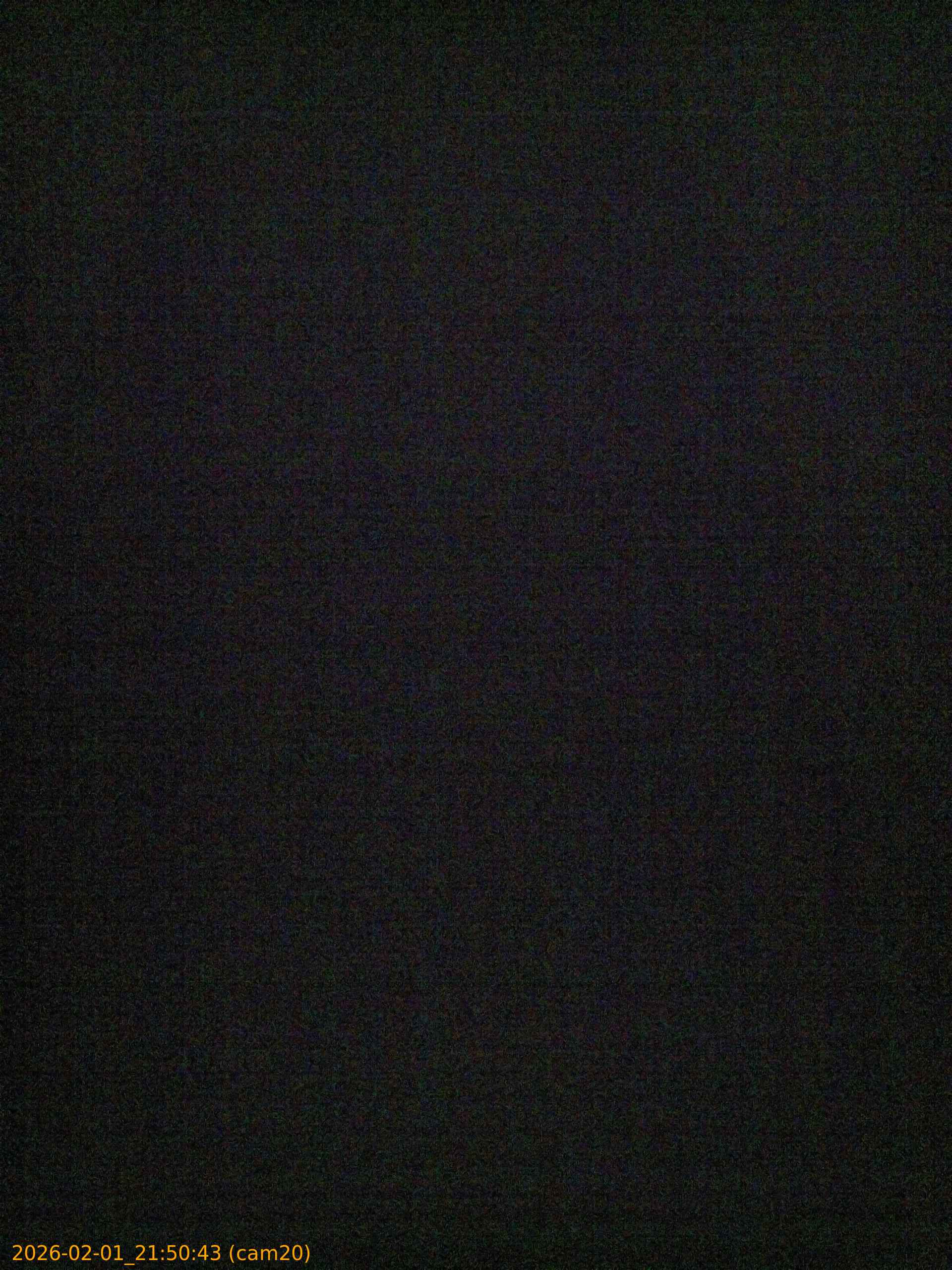 20260201215043