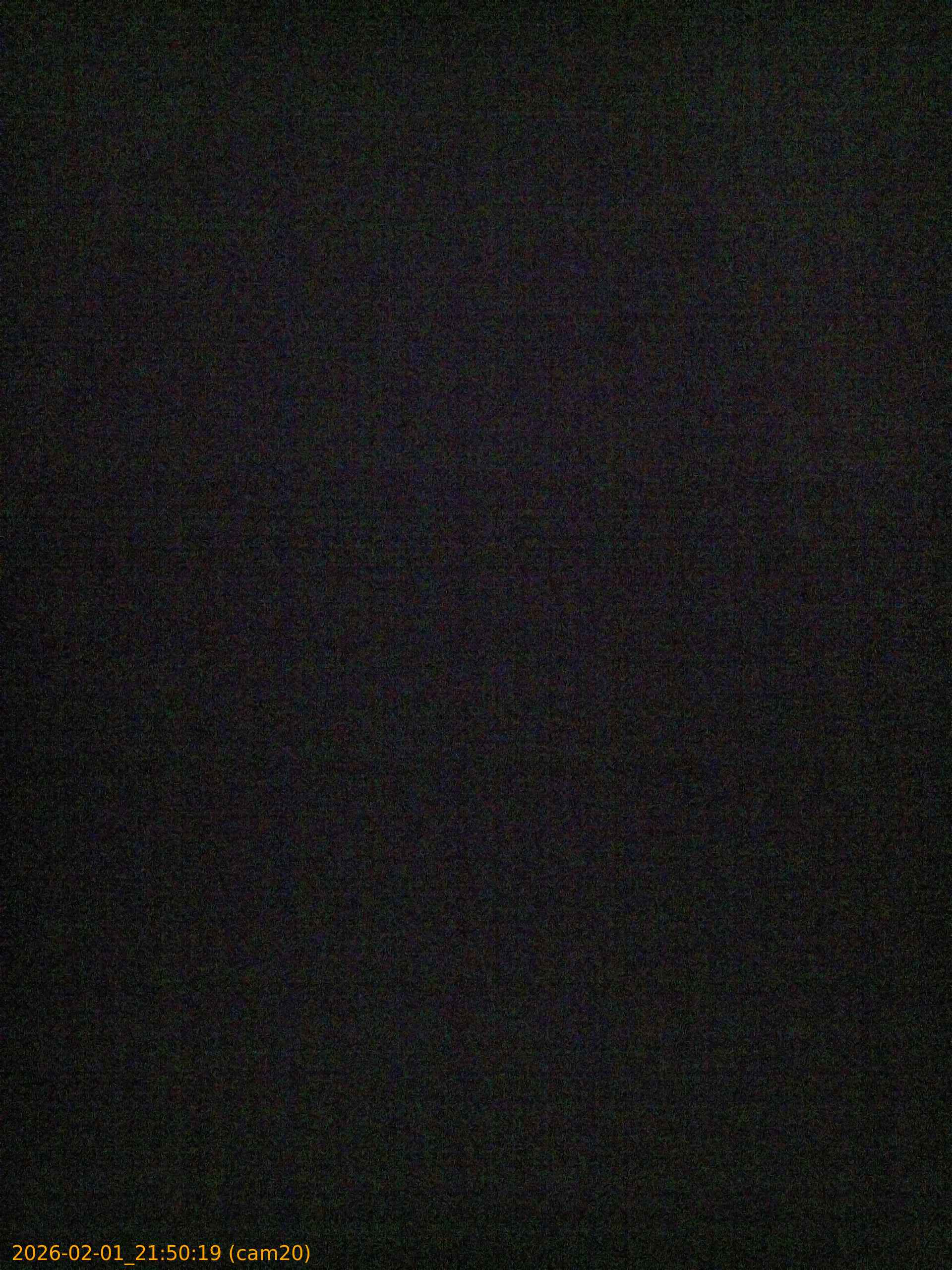 thumbnail_20260201215019