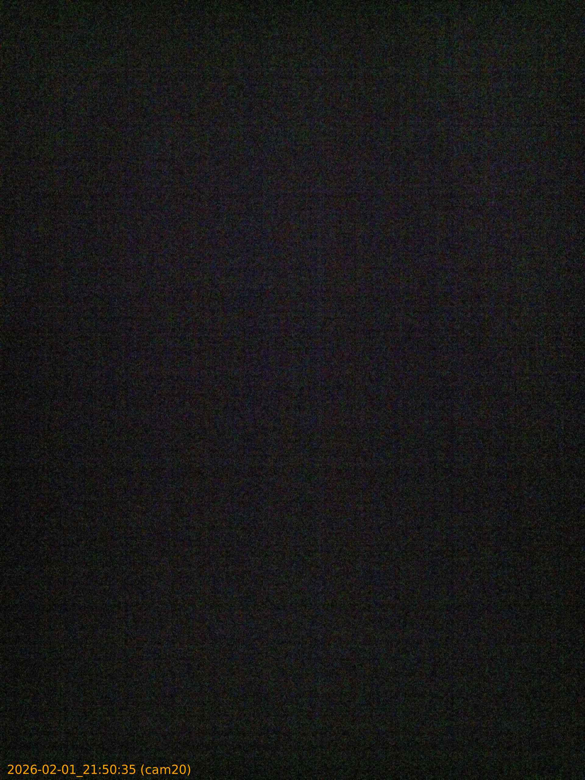 thumbnail_20260201215035