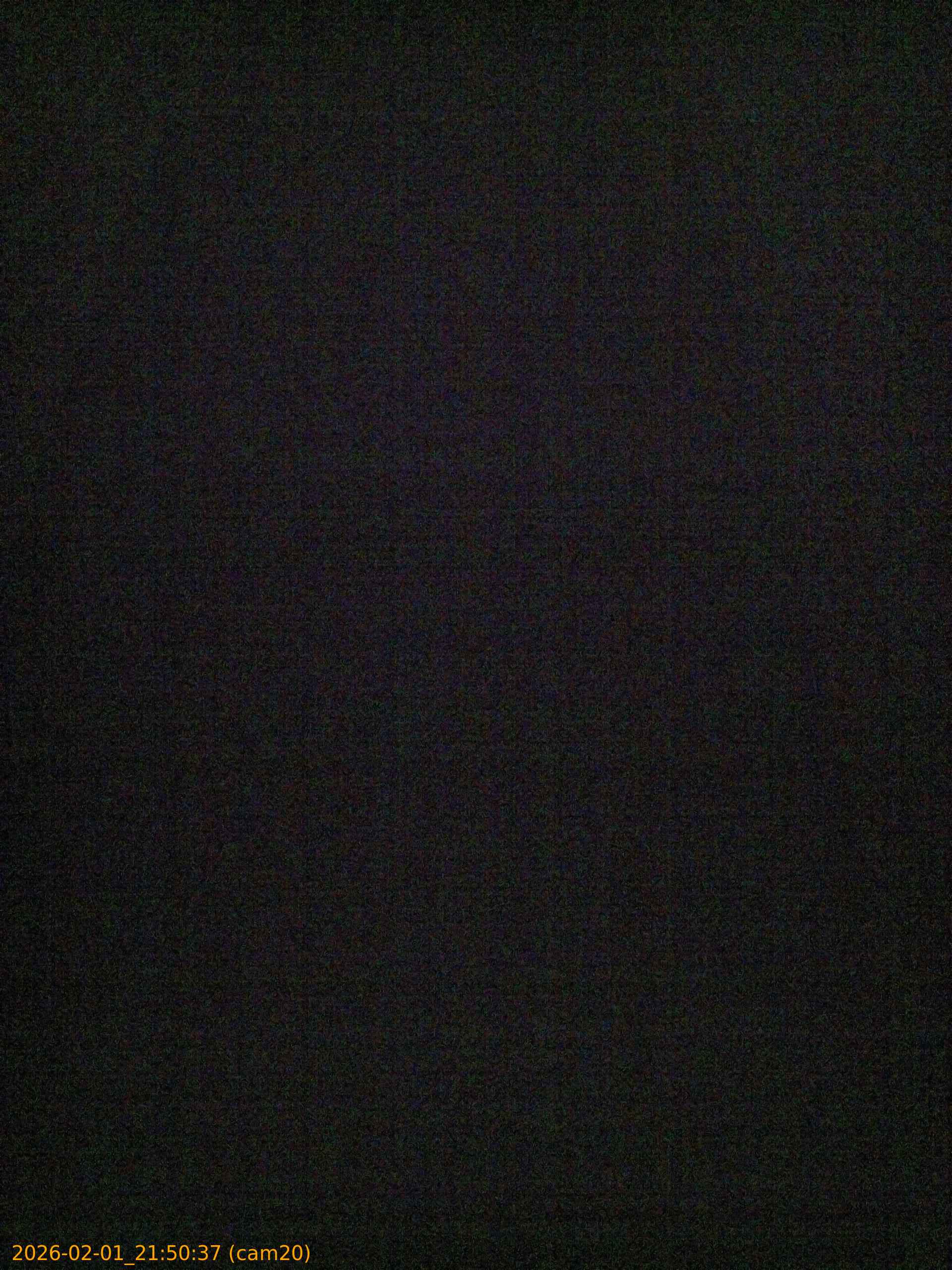 thumbnail_20260201215037