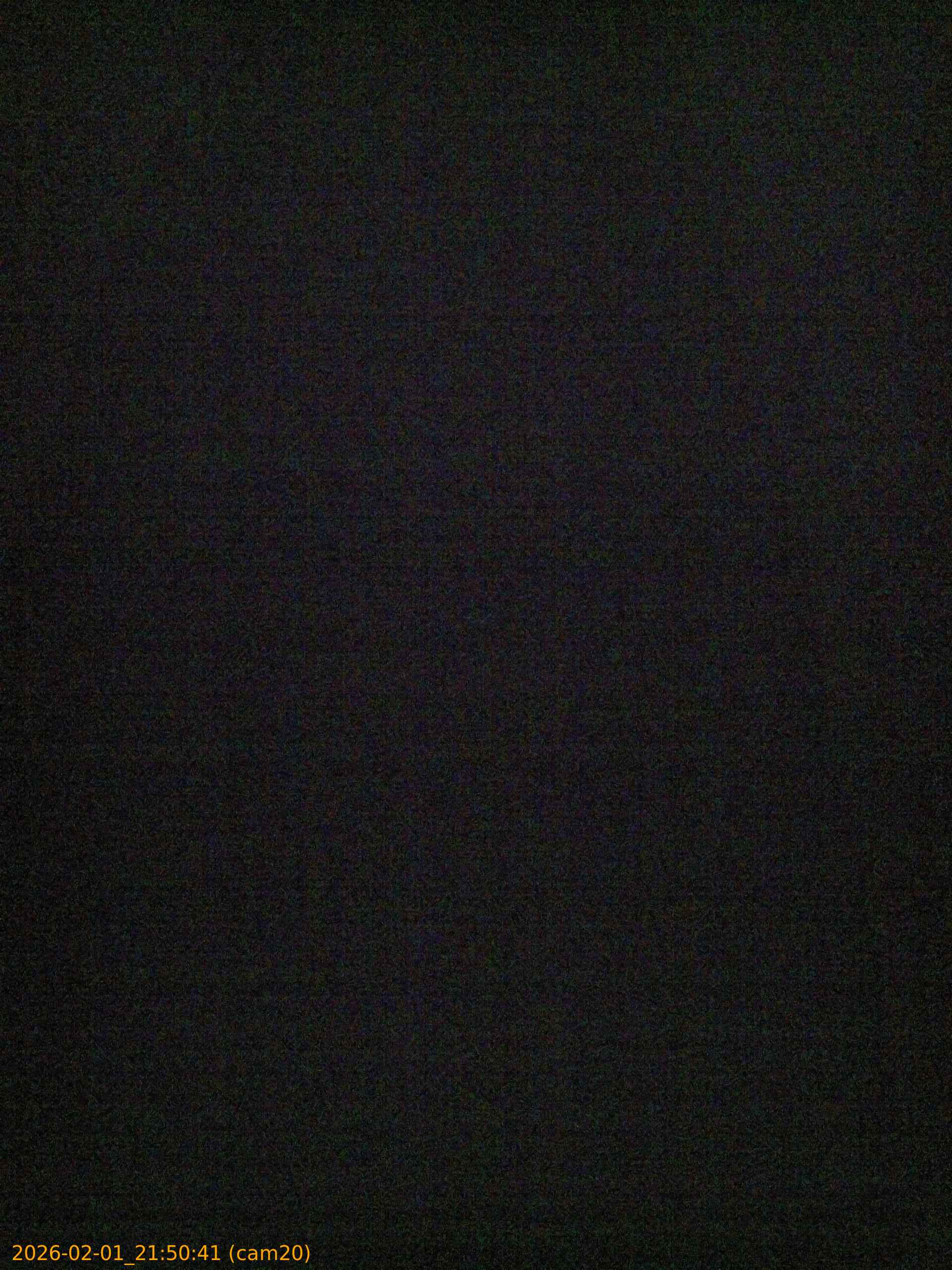 thumbnail_20260201215041