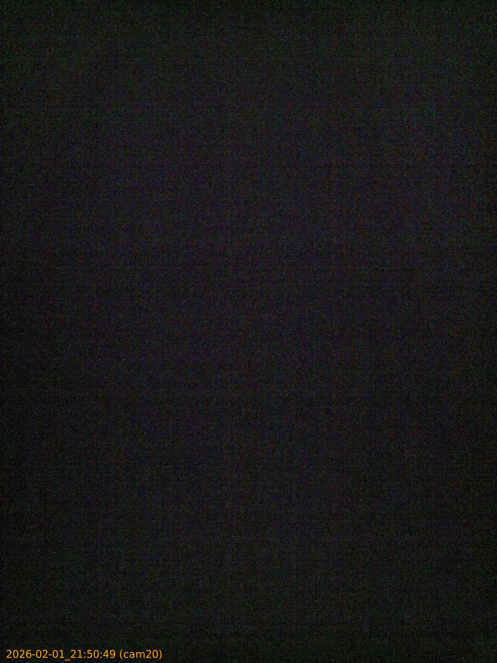 thumbnail_20260201215049