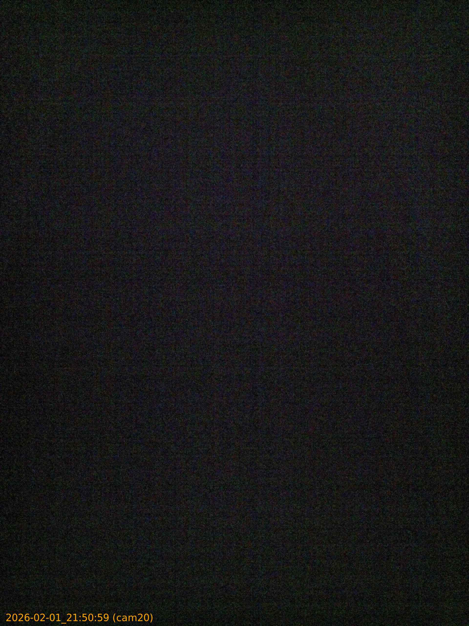 thumbnail_20260201215059