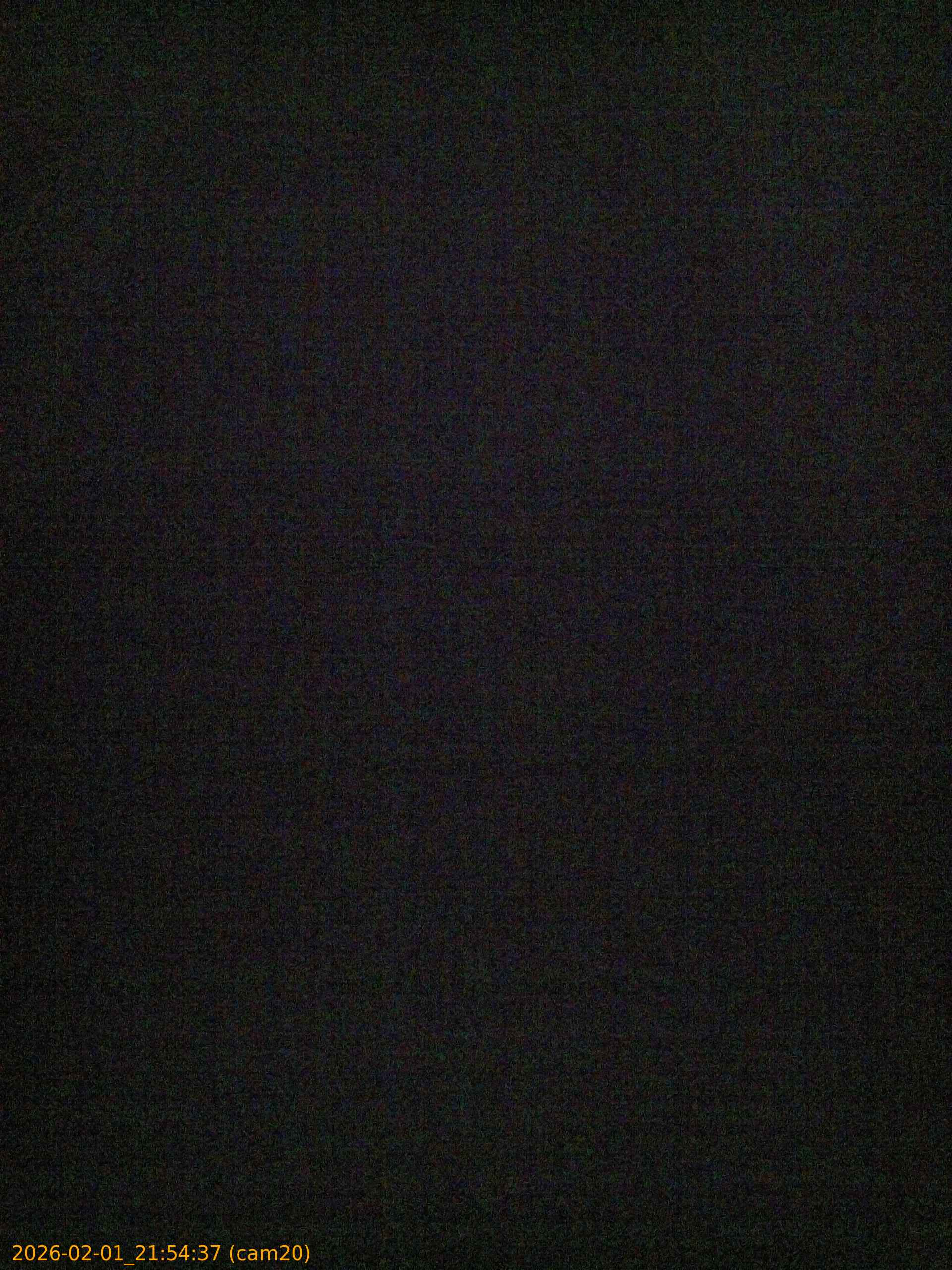 20260201215437