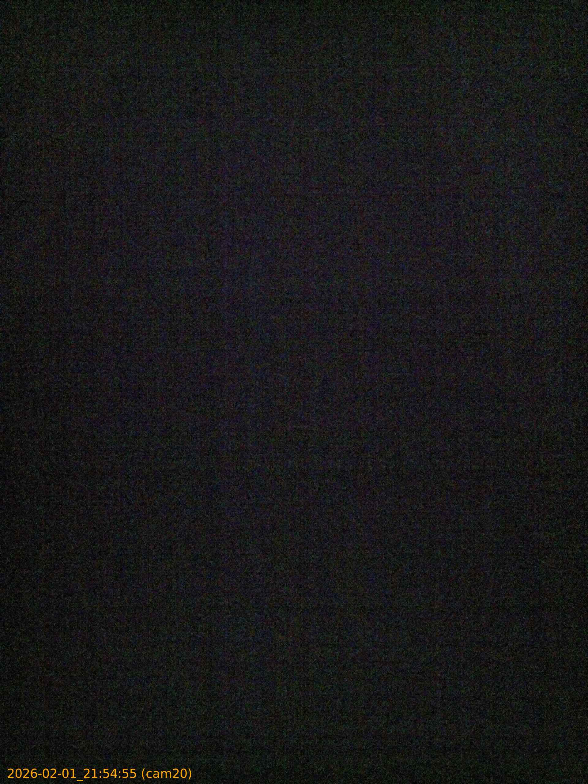 20260201215455