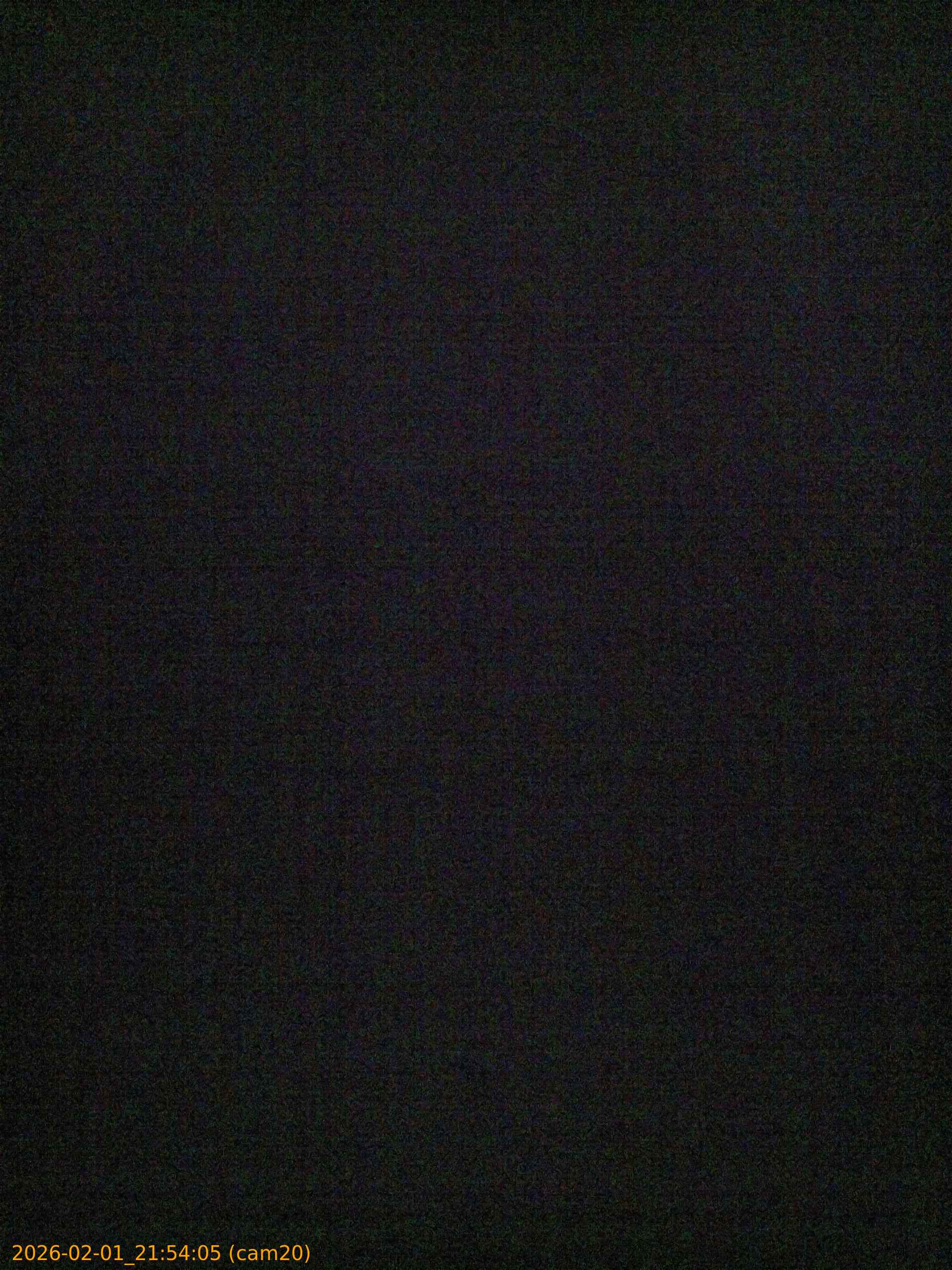 thumbnail_20260201215405