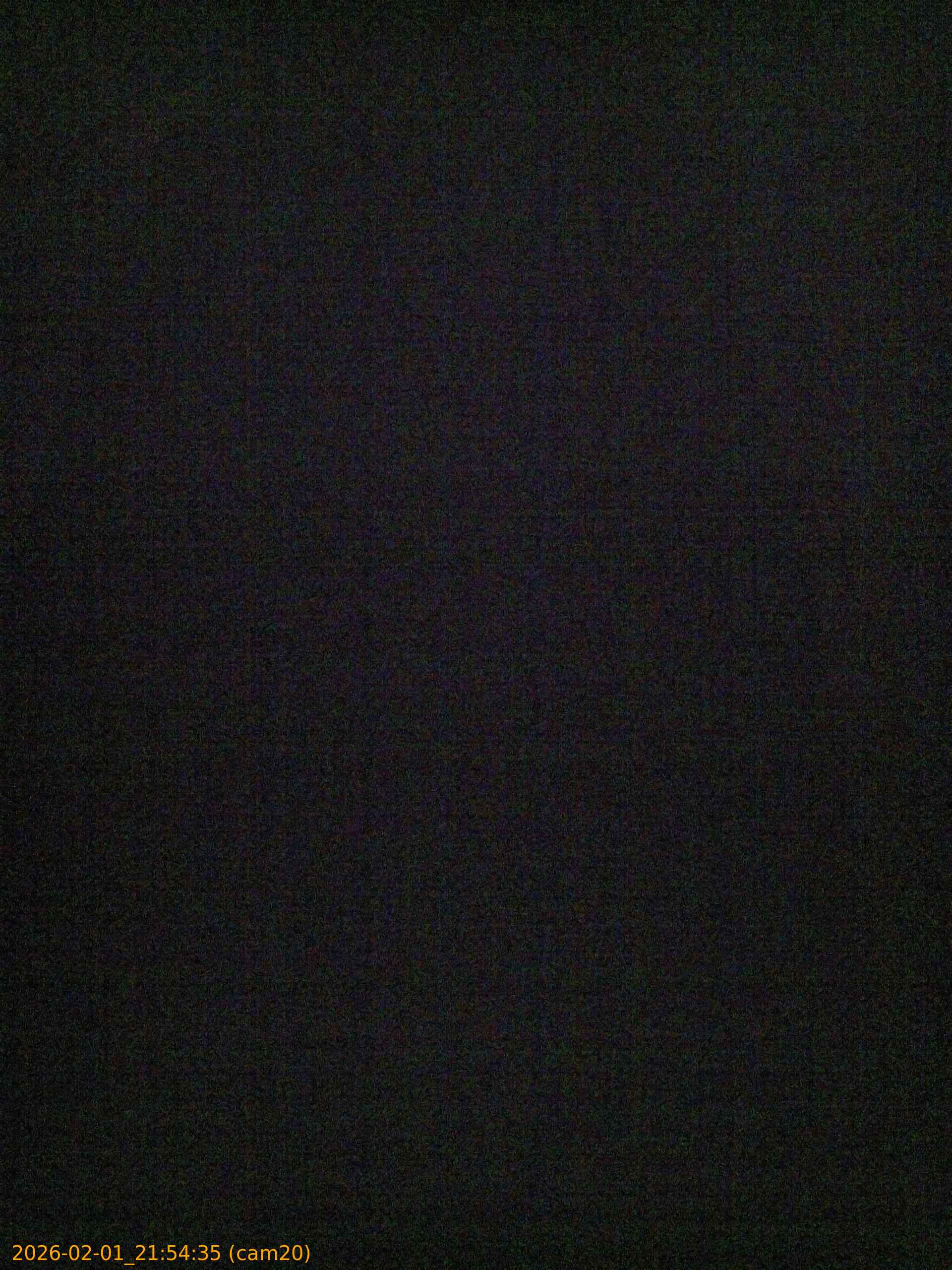 thumbnail_20260201215435