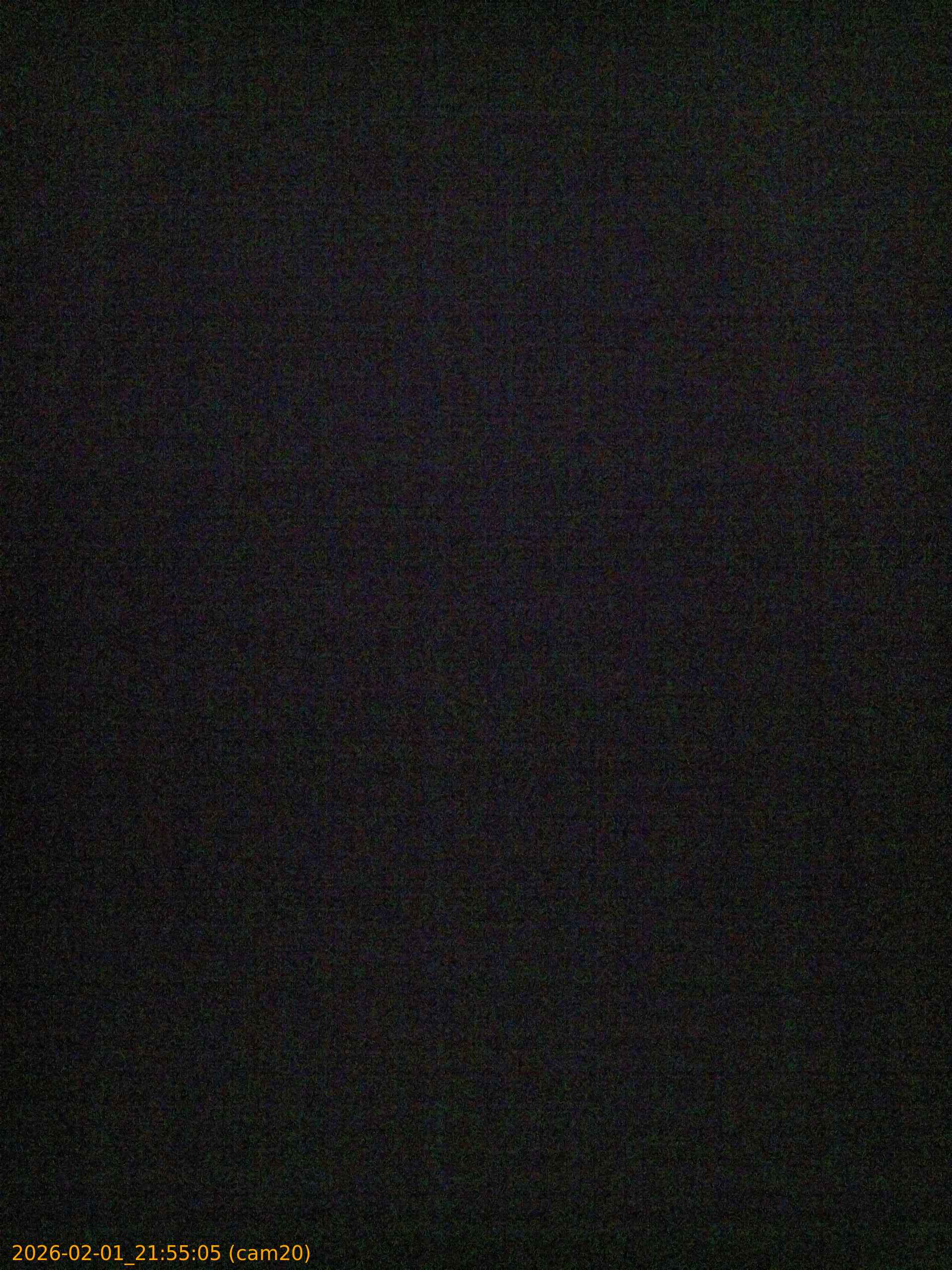 thumbnail_20260201215505