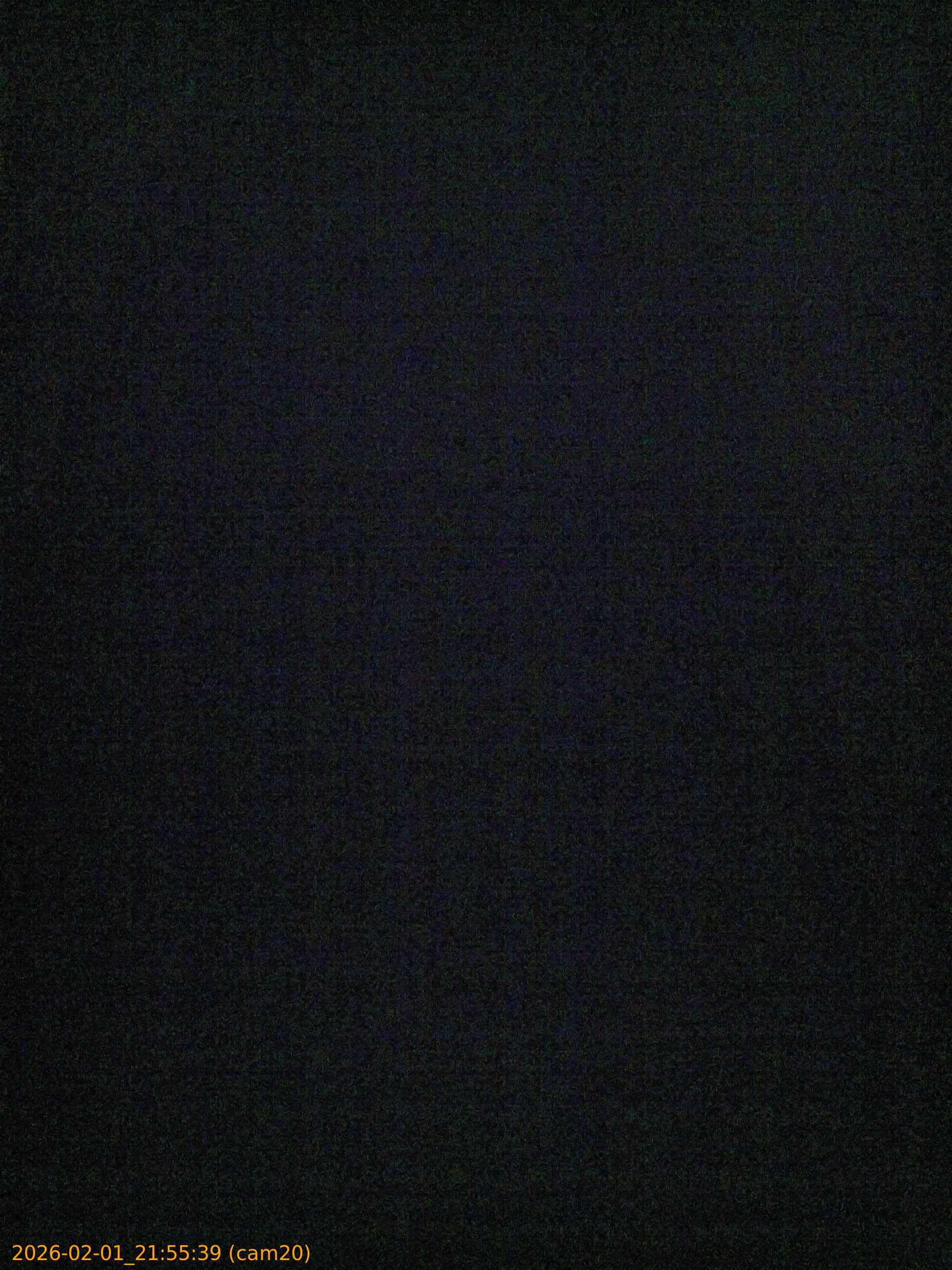 thumbnail_20260201215539