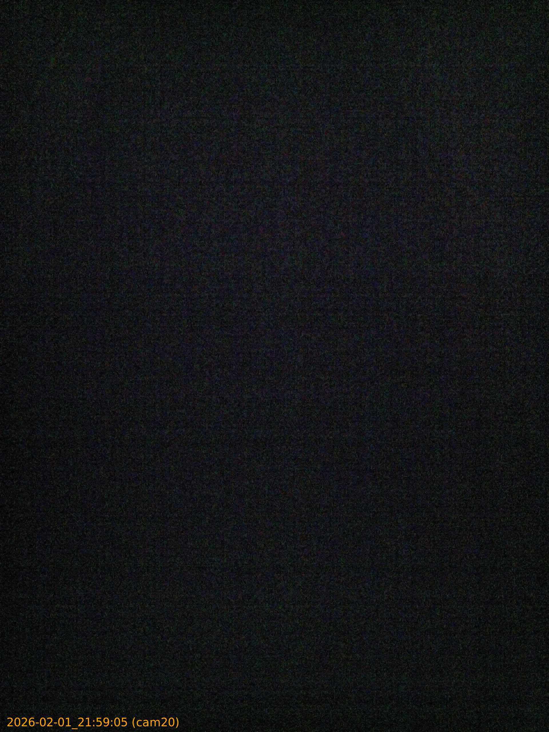 thumbnail_20260201215905