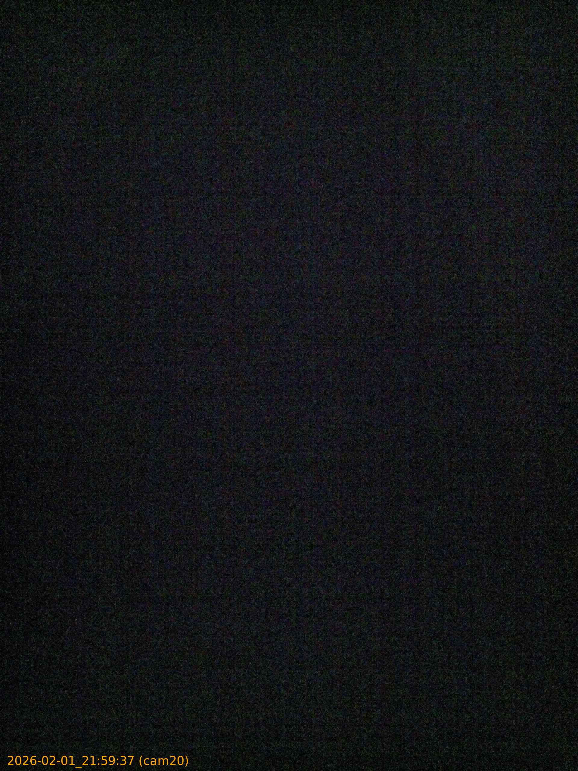 thumbnail_20260201215937