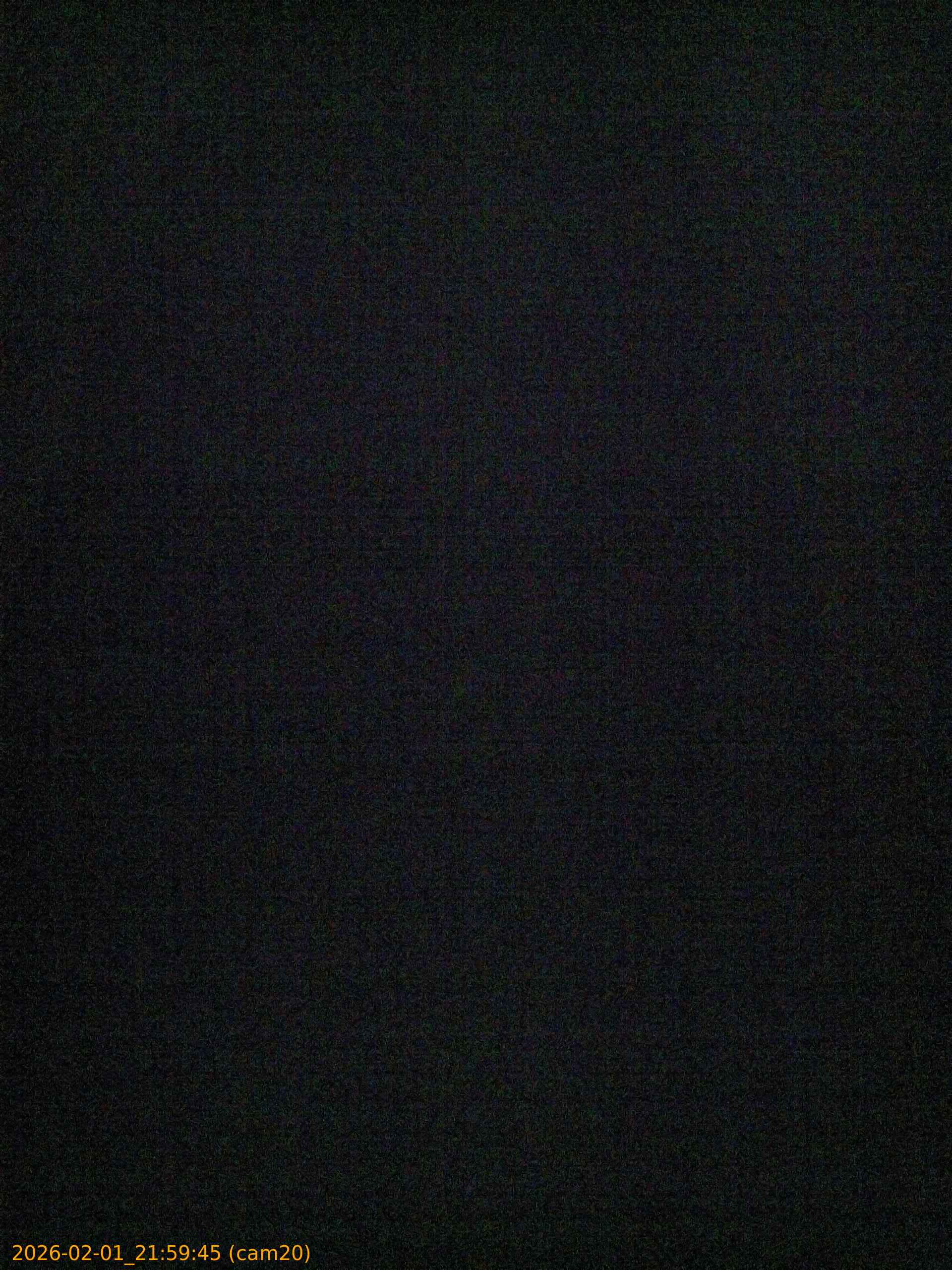 thumbnail_20260201215945