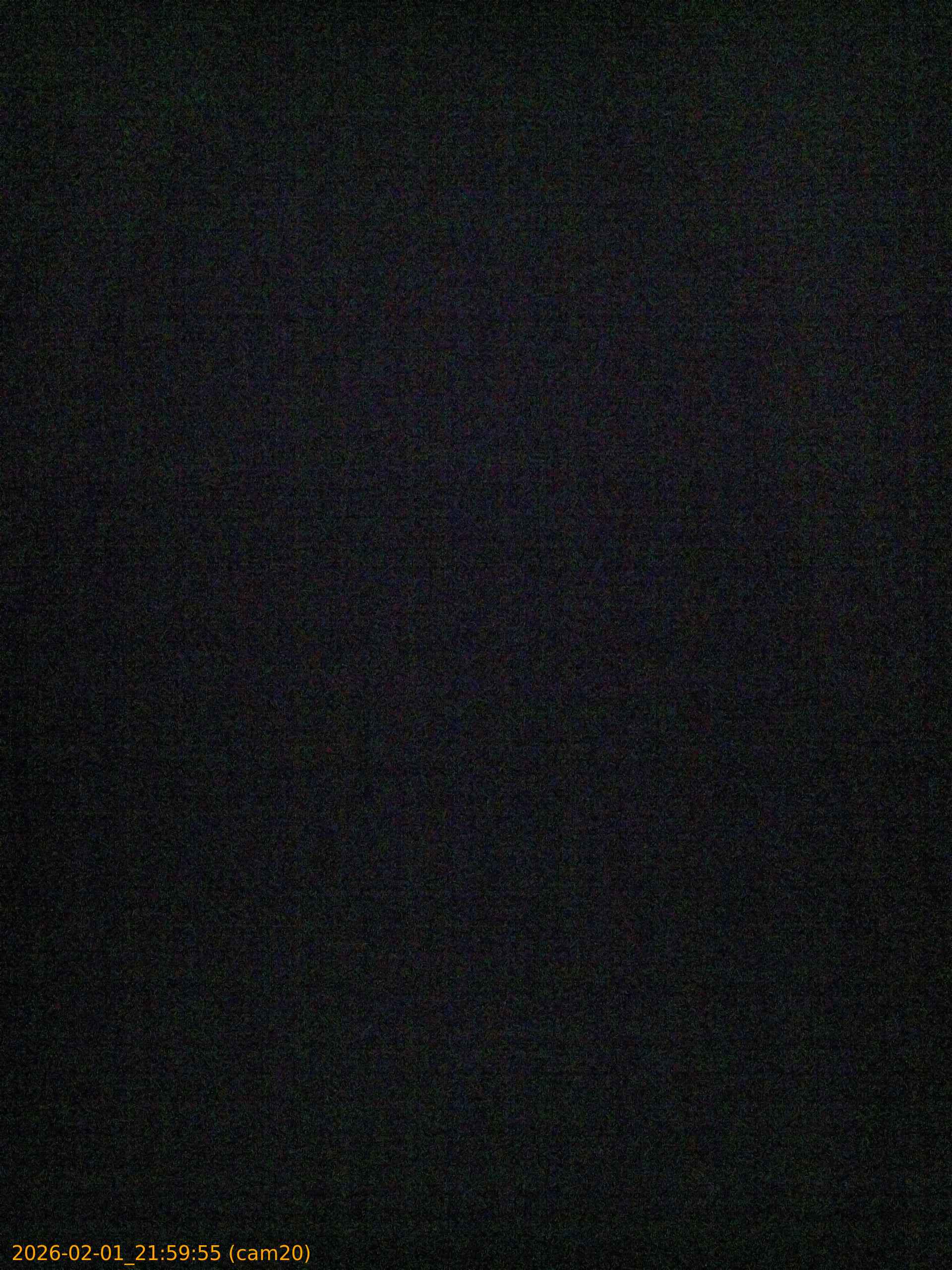 thumbnail_20260201215955