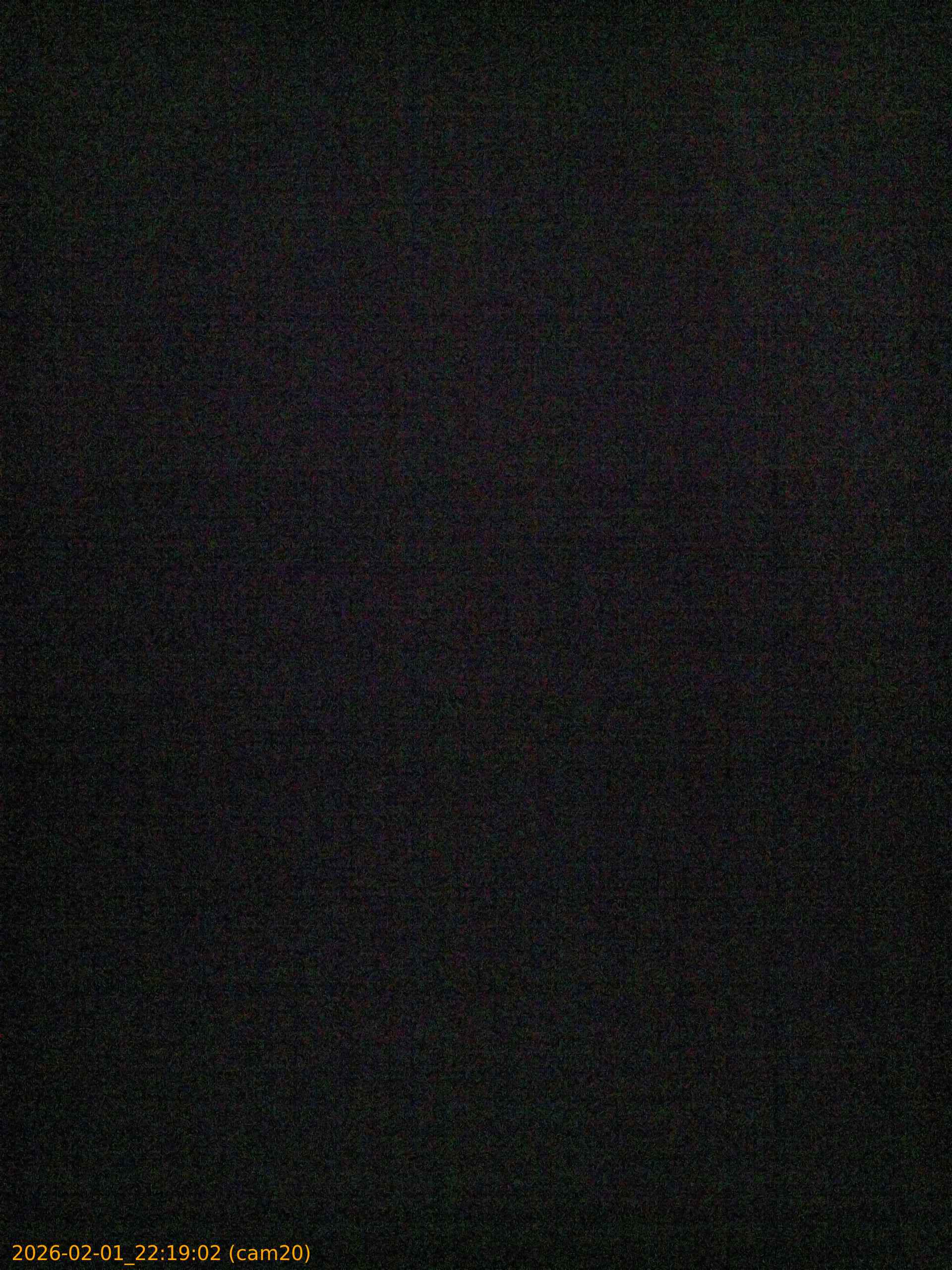 20260201221902