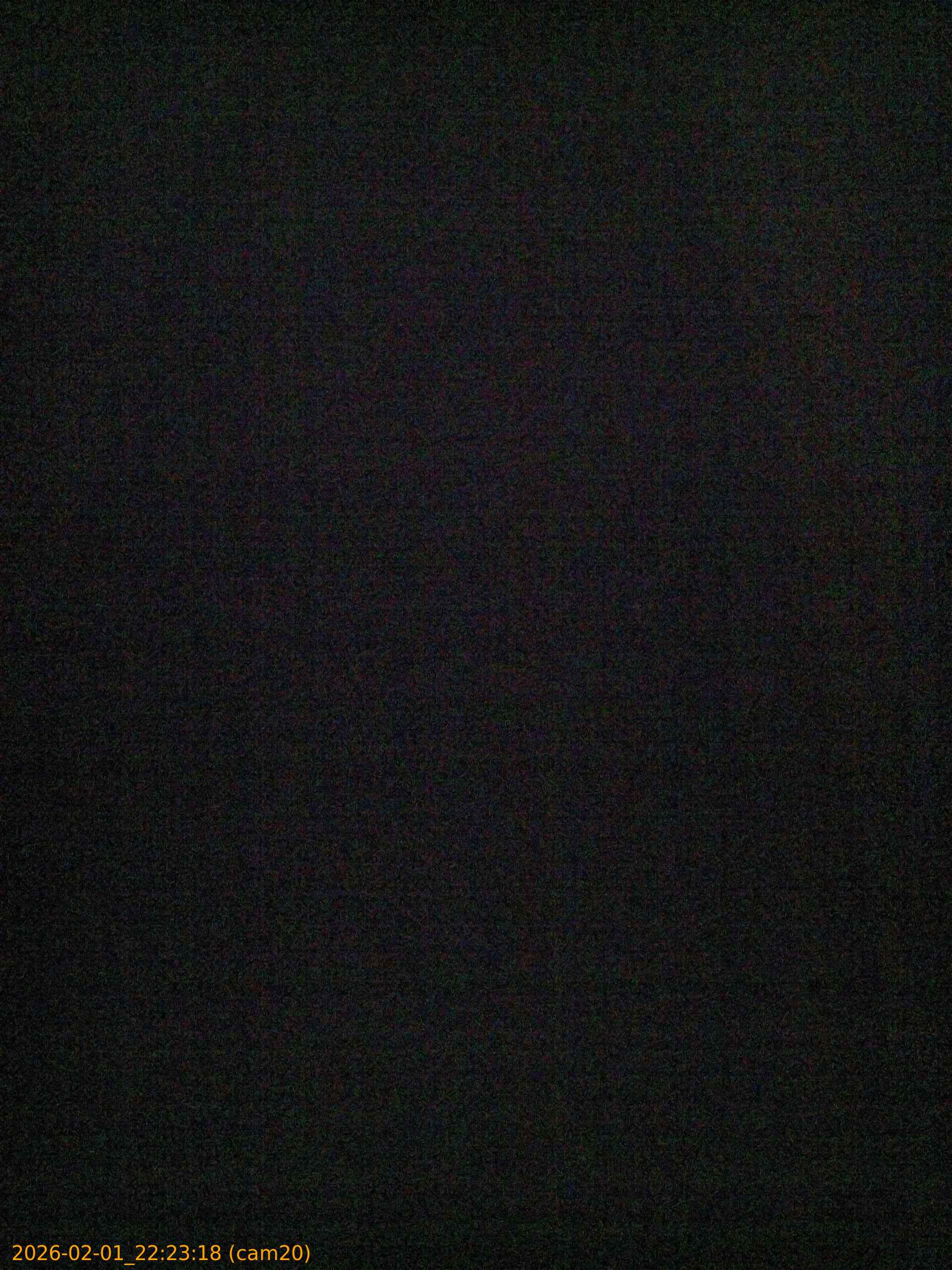 thumbnail_20260201222318