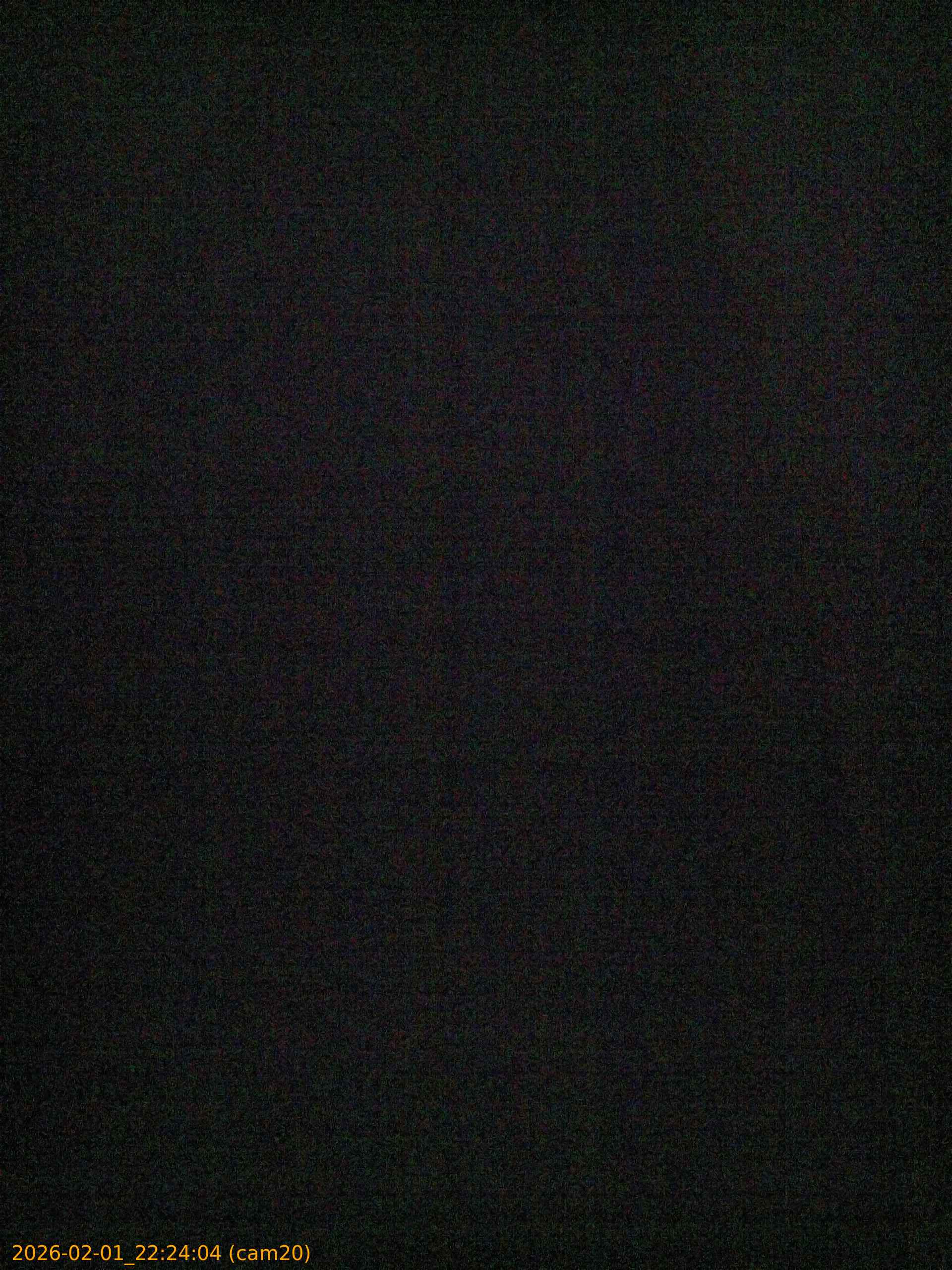 thumbnail_20260201222404