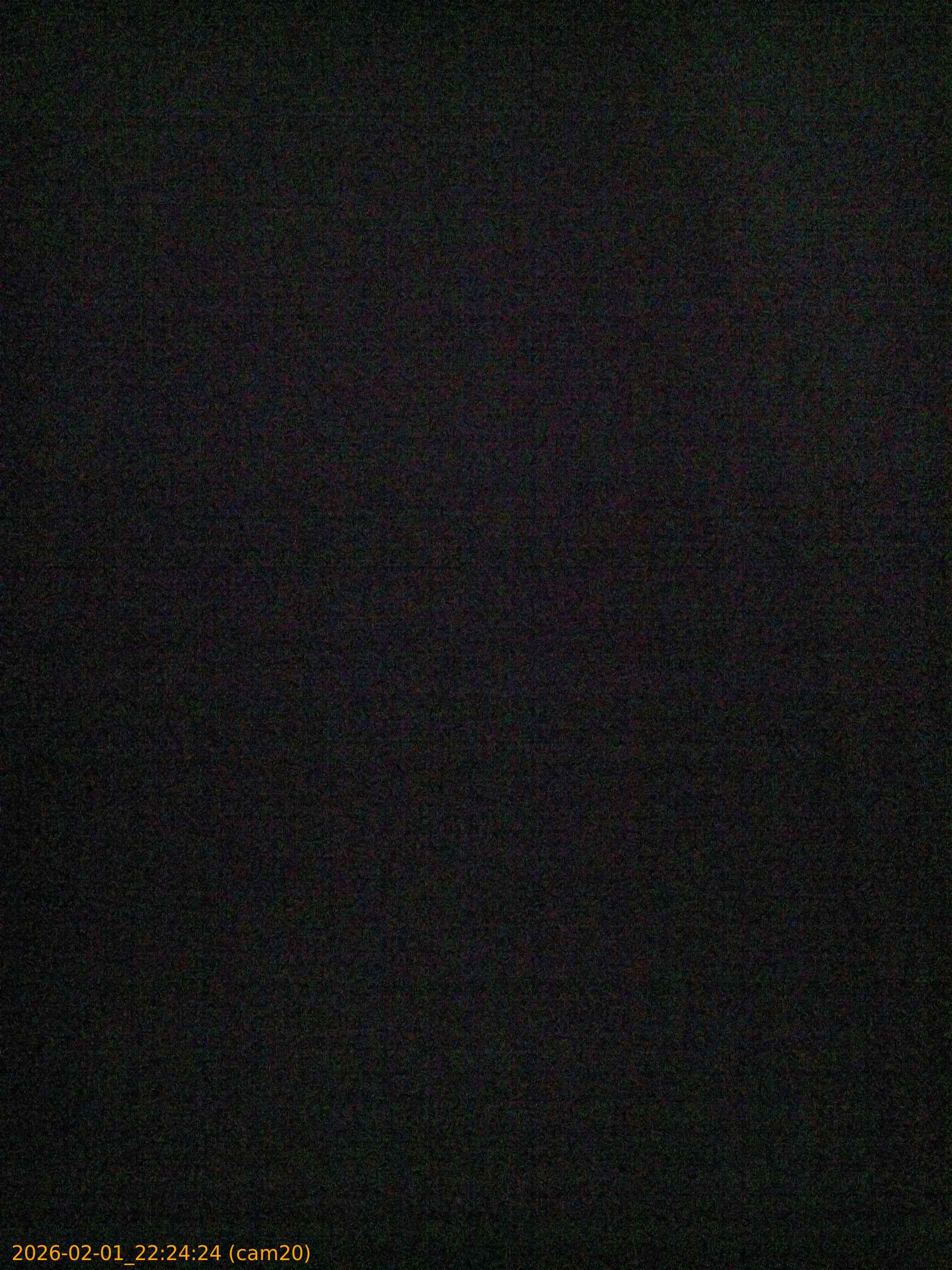 thumbnail_20260201222424