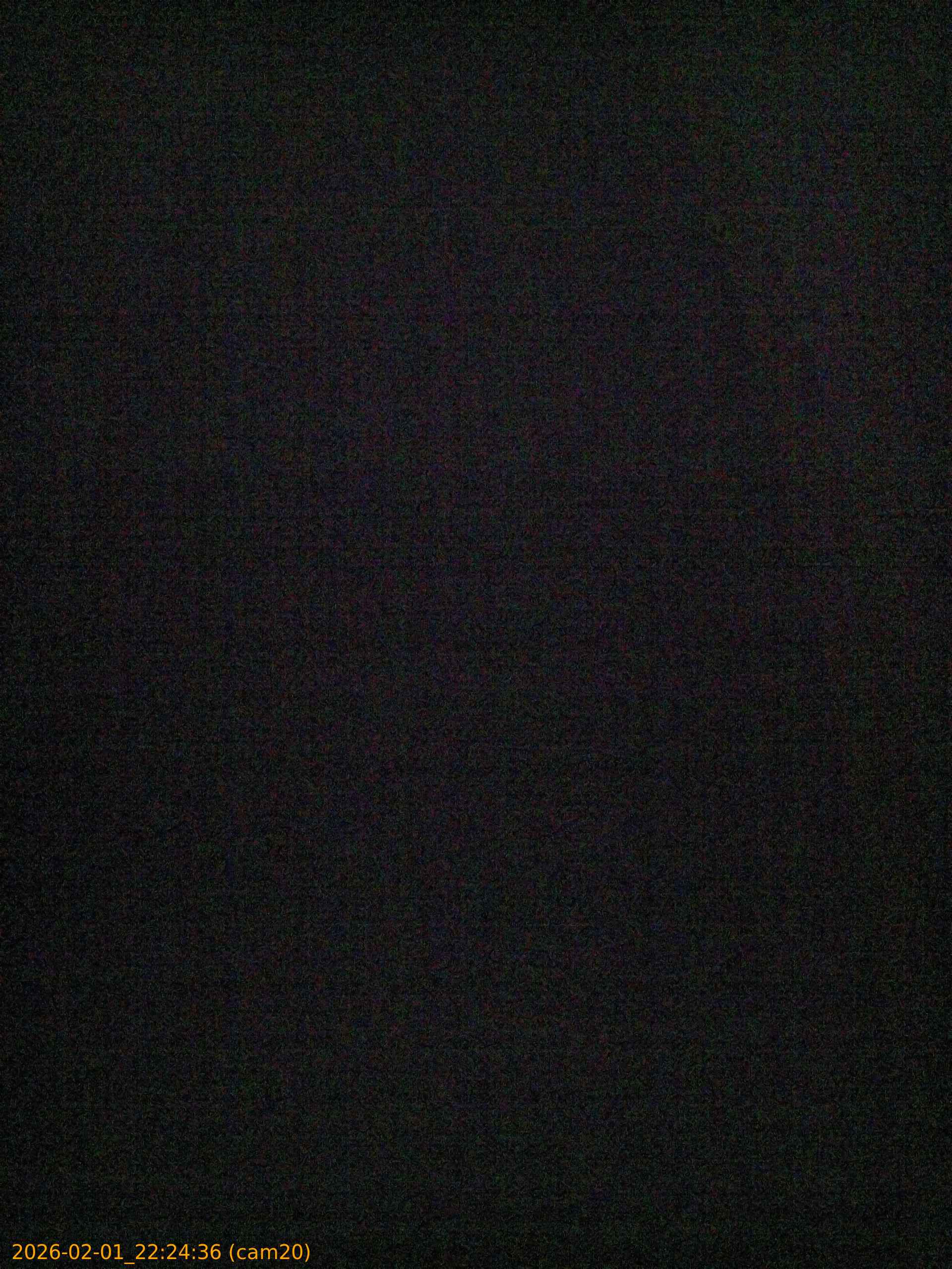 thumbnail_20260201222436