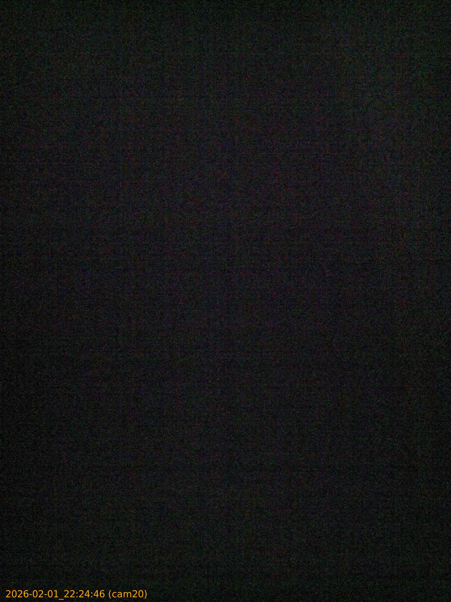 thumbnail_20260201222446