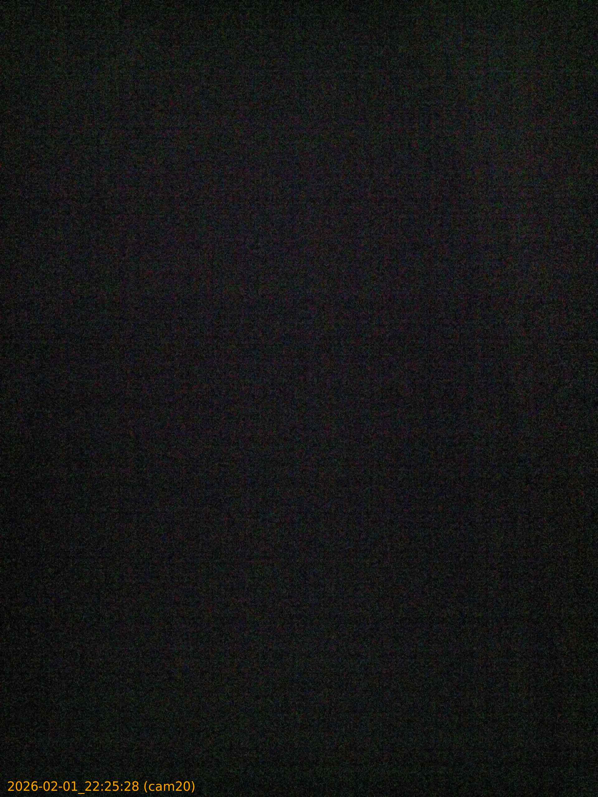 thumbnail_20260201222528